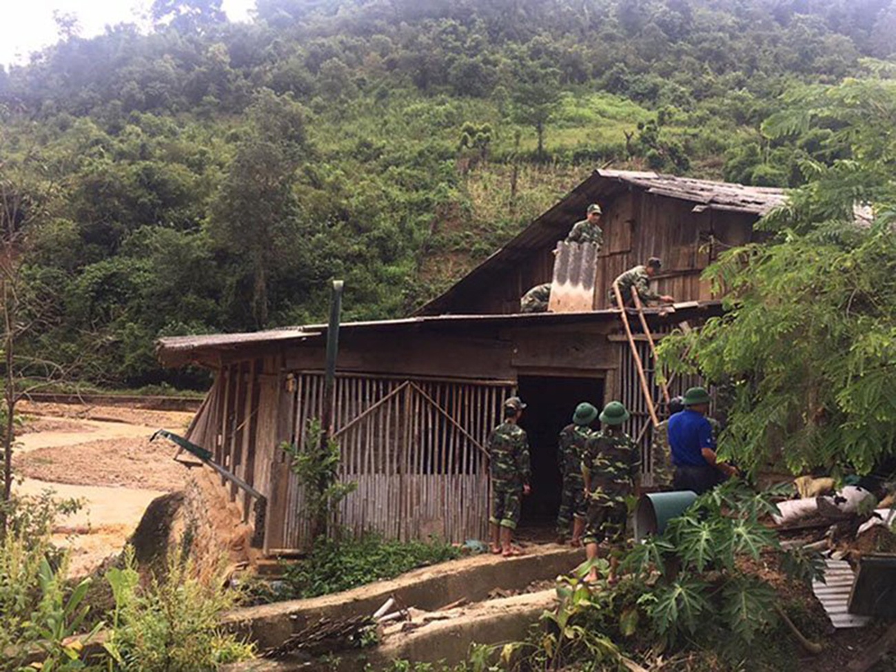 Lu lut o Dien Bien anh 7