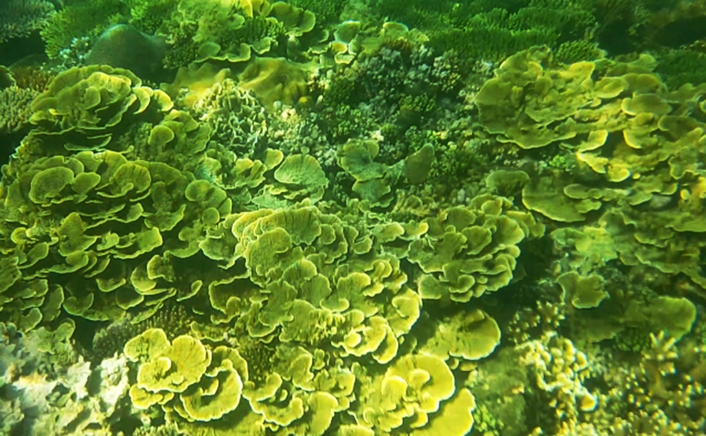 Buc tranh tuyet tac Ganh Yen anh 10