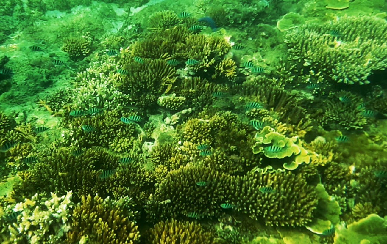 Buc tranh tuyet tac Ganh Yen anh 11