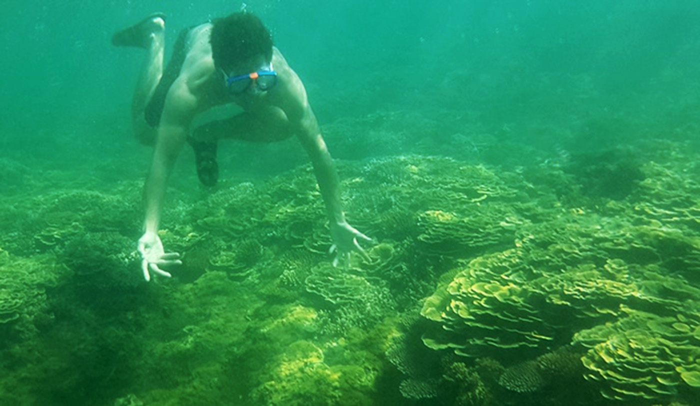 Buc tranh tuyet tac Ganh Yen anh 12