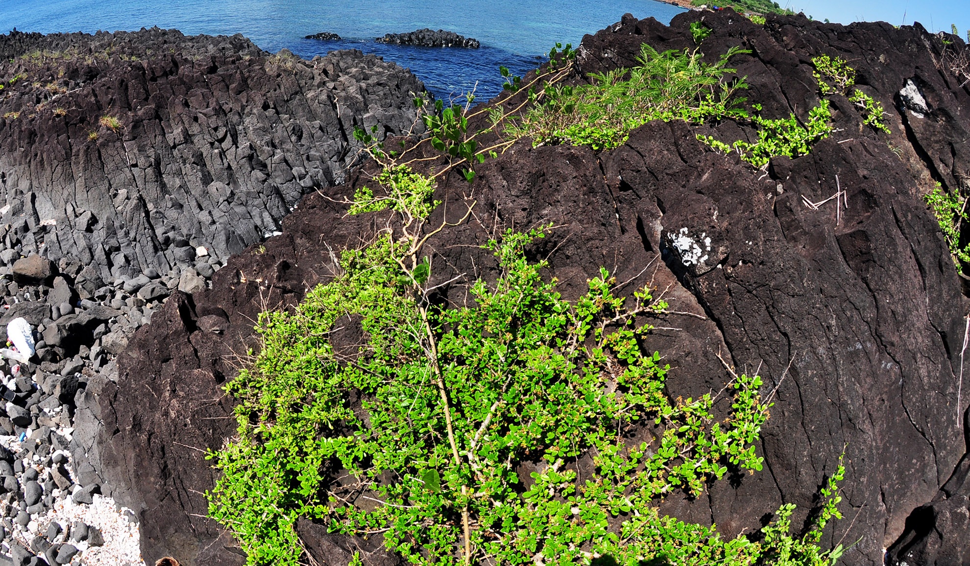 Buc tranh tuyet tac Ganh Yen anh 6