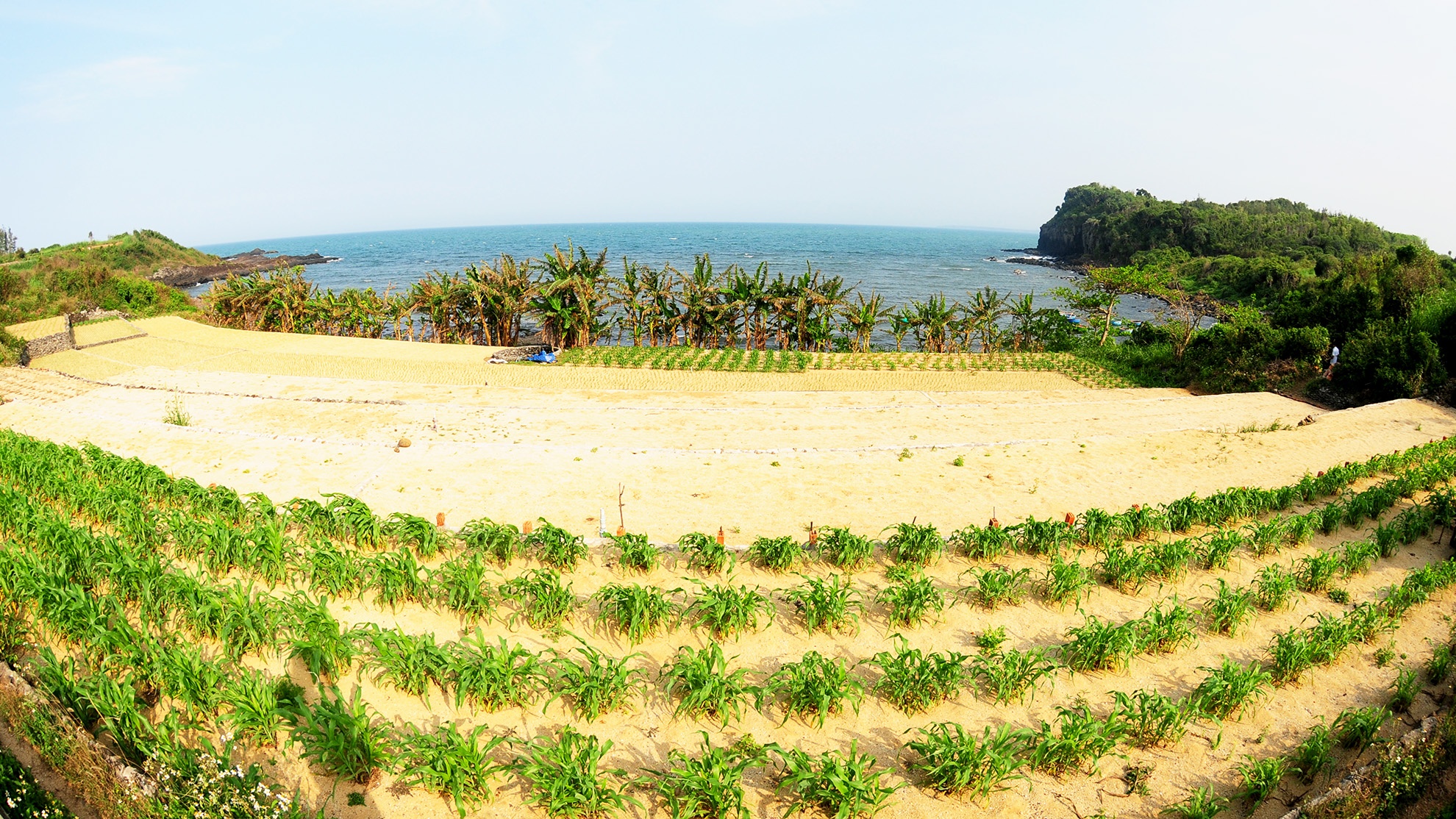 Buc tranh tuyet tac Ganh Yen anh 1