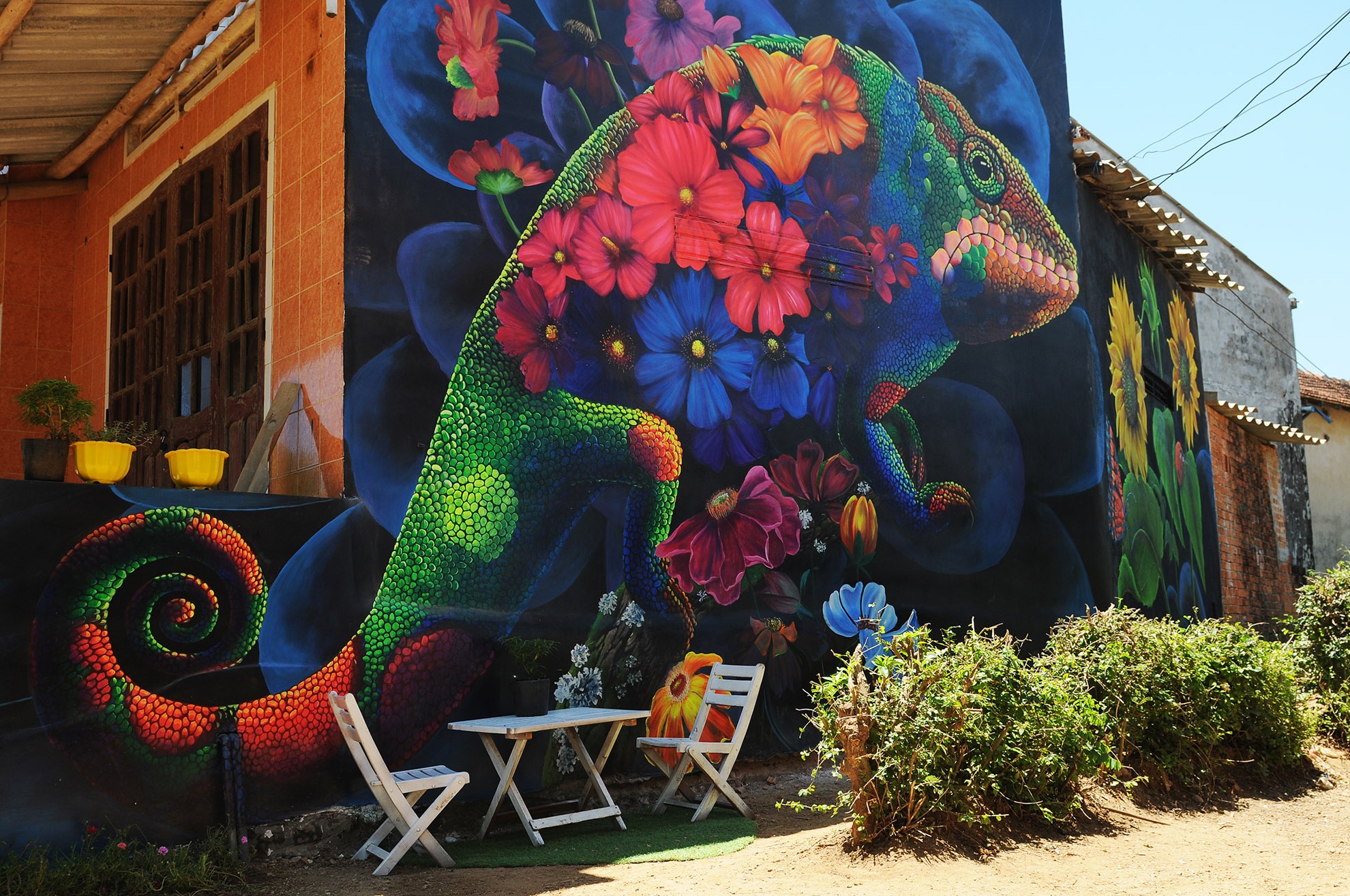 Lo ngai 'lang bich hoa' tran lan gay nham chan hinh anh