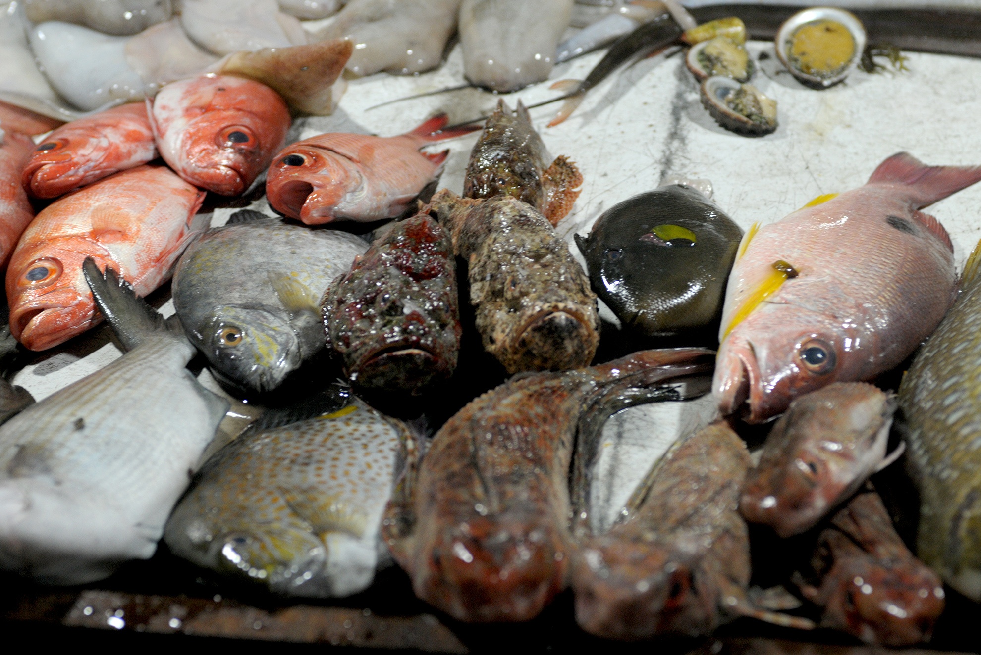 Thiên đường biển đảo miền Trung ảnh 17 Thien duong bien dao mien Trung anh 17