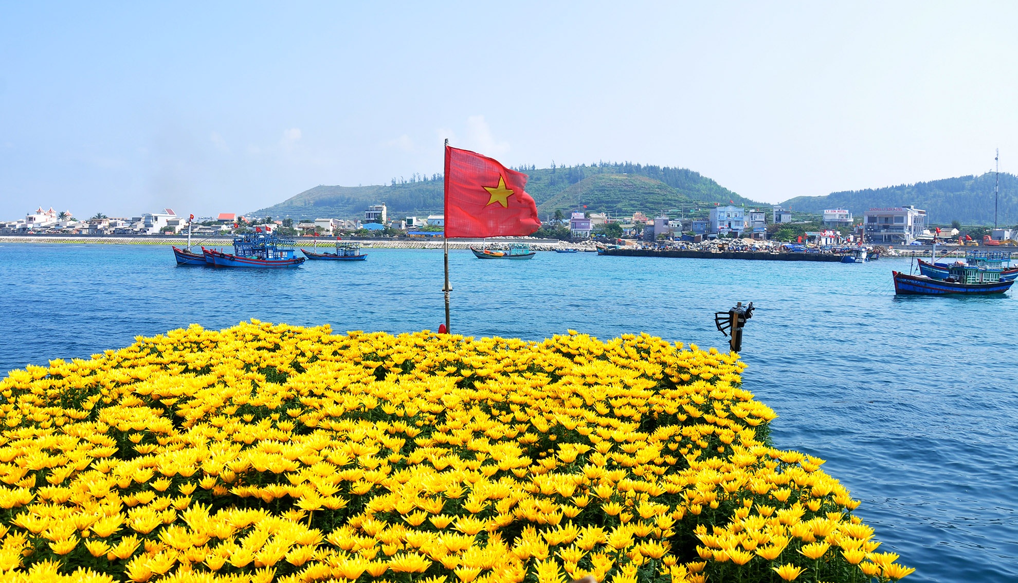 Quy hoach dao Ly Son gan chat voi chien luoc quoc phong, an ninh hinh anh