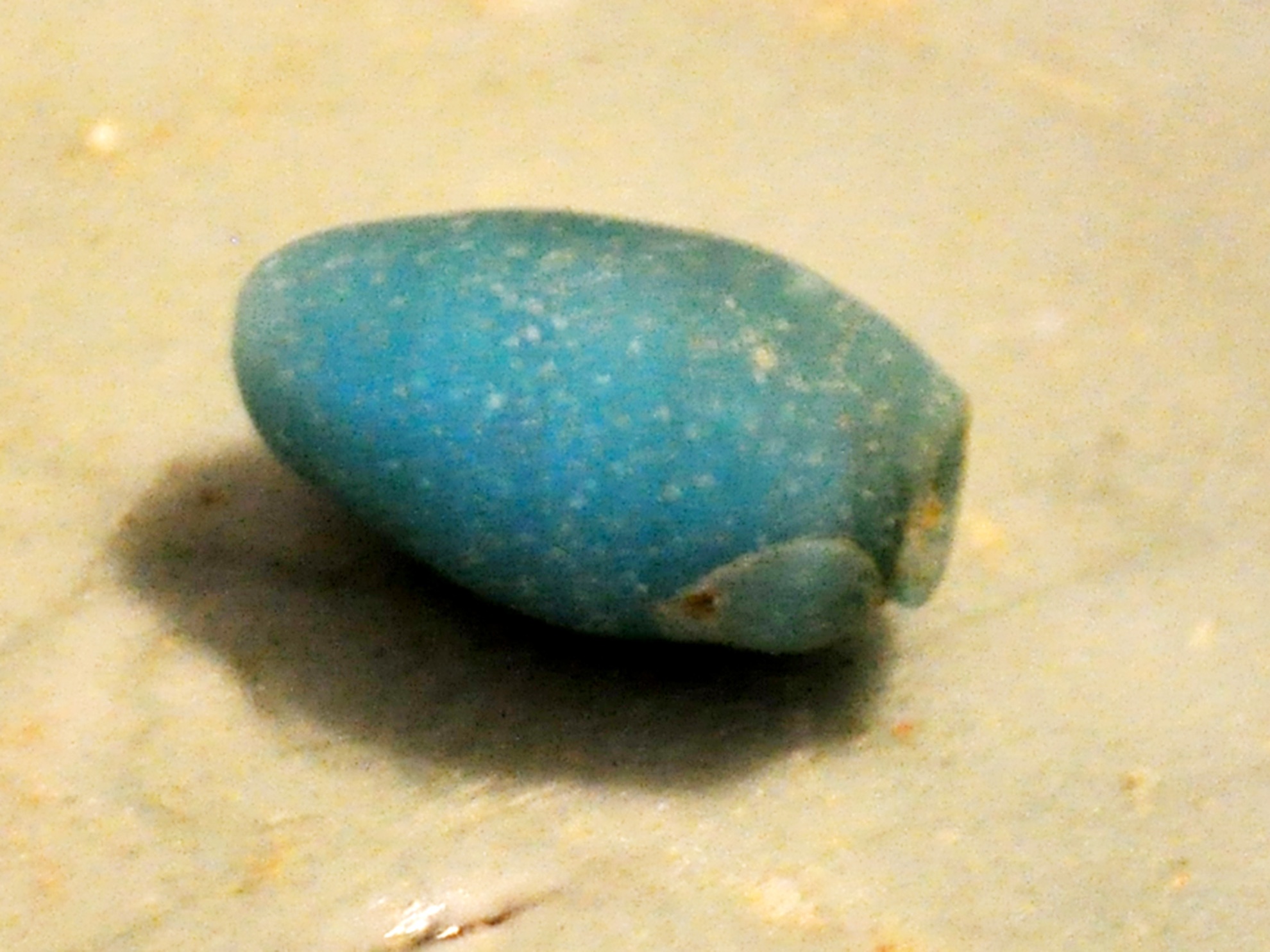 Bi an nghia dia tau co o vung bien Quang Ngai anh 11