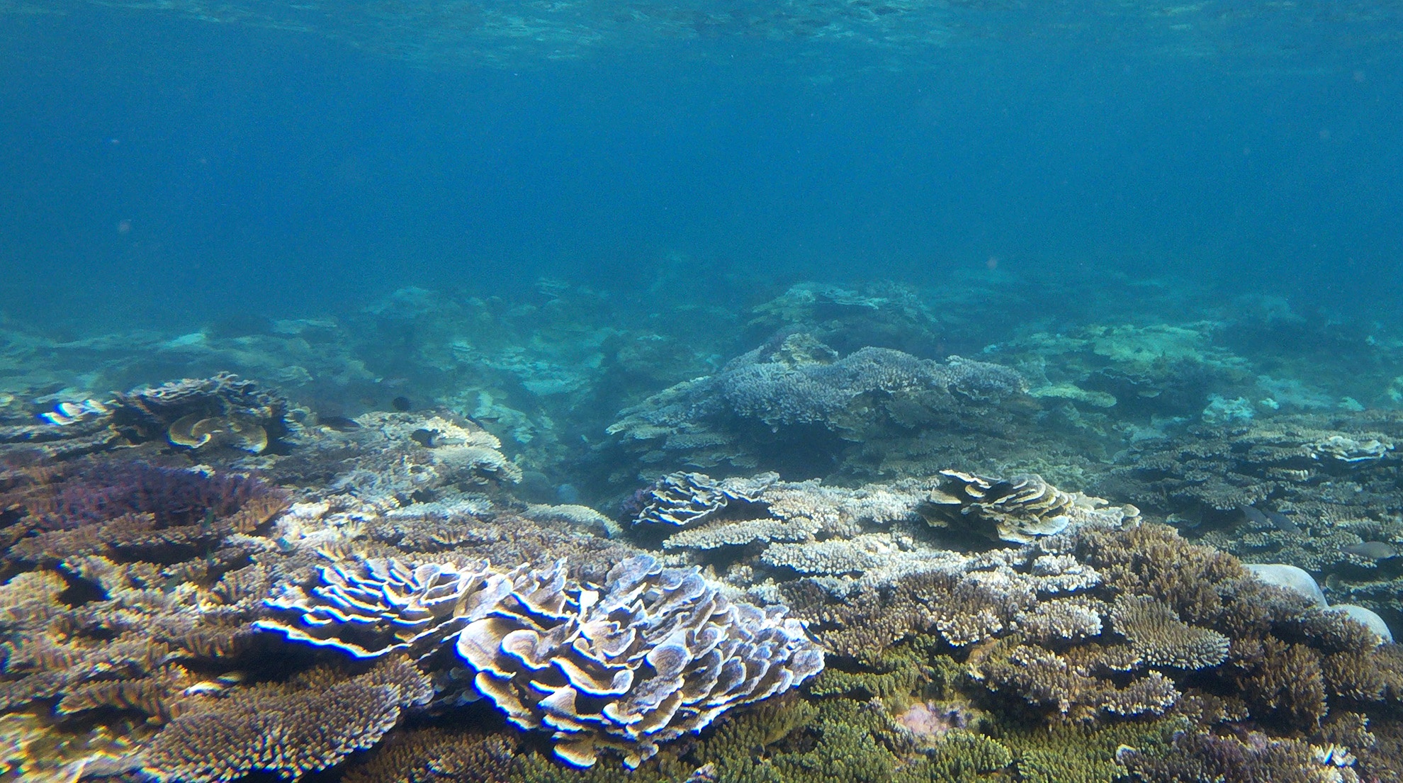 Can canh di san mieng nui lua Quang Ngai anh 14