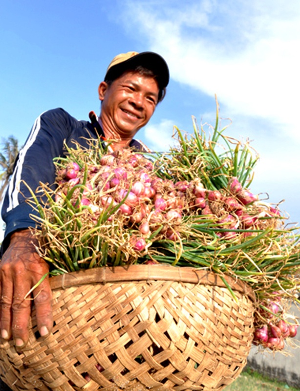 toi ly son,  hanh tim ly son anh 2