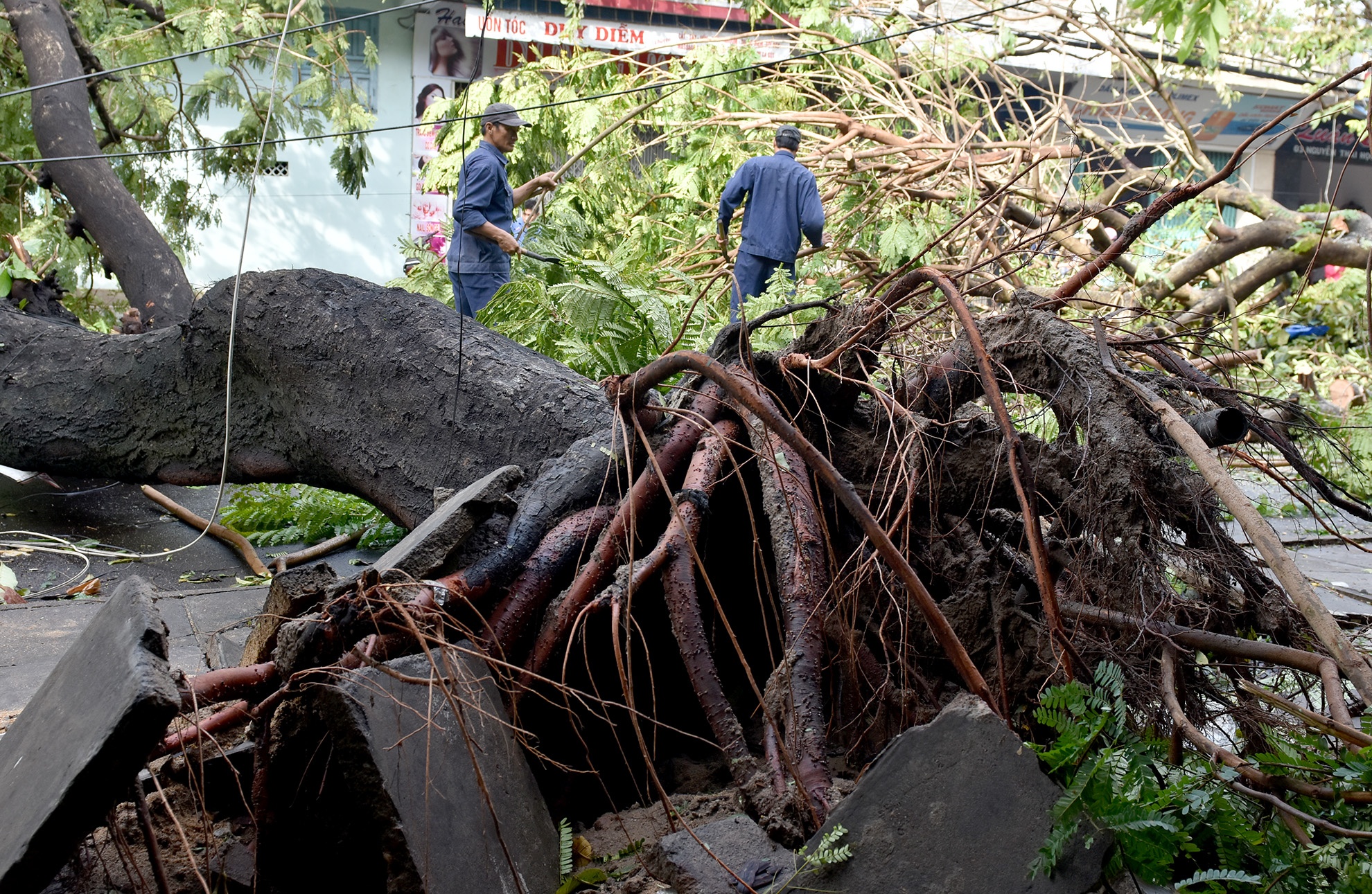 Phu Yen dieu dong luc luong khac phuc hau qua cua bao so 12 hinh anh