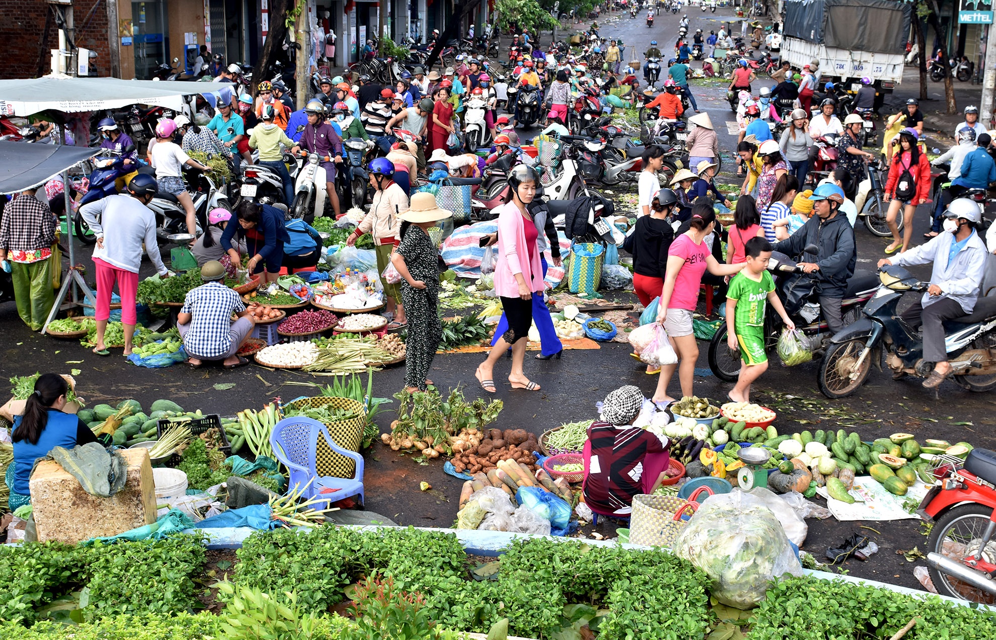 Hang tram tieu thuong Phu Yen doi cho anh 3