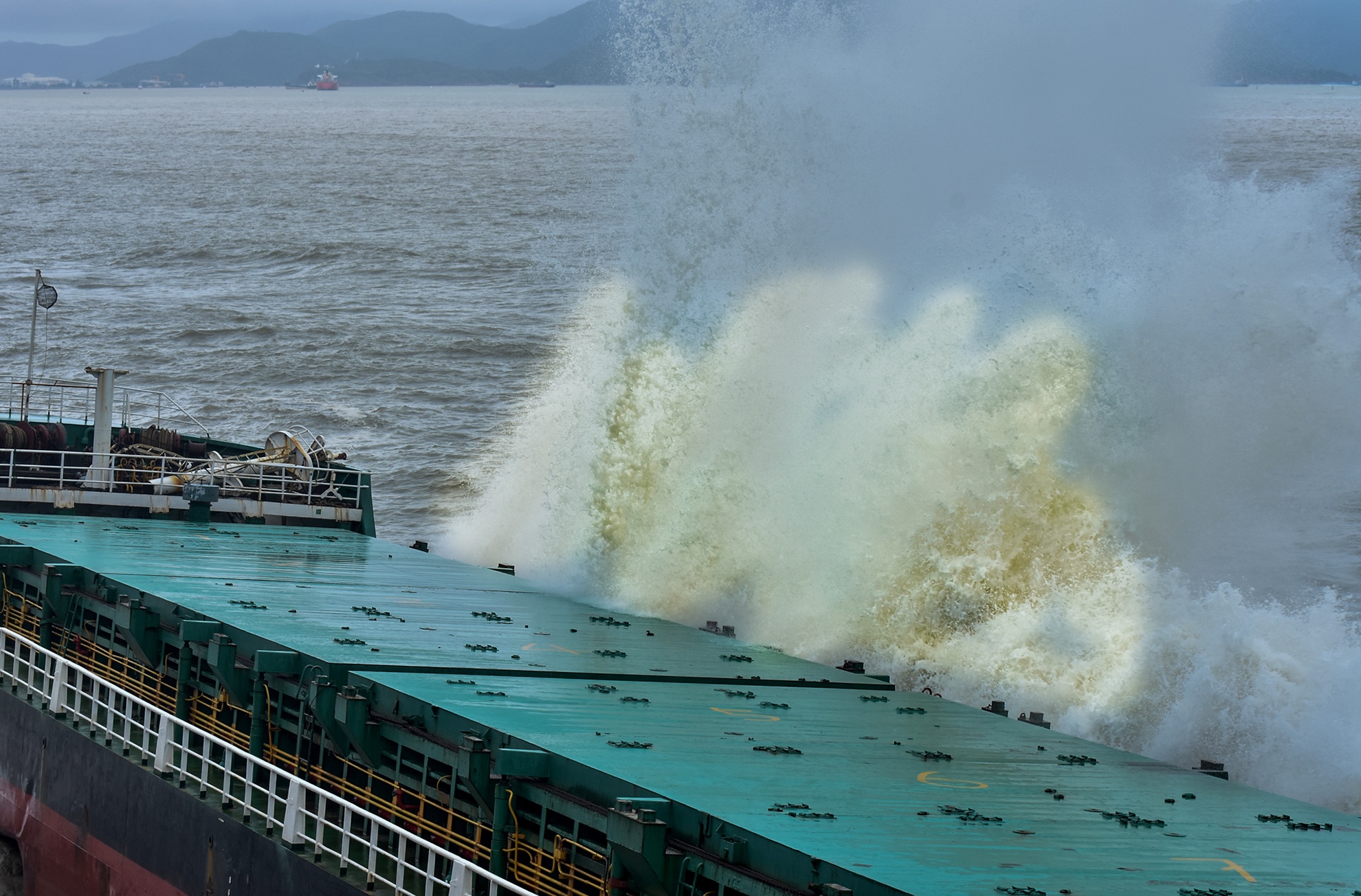 Tau cho hang chim o vung bien Quy Nhon anh 7