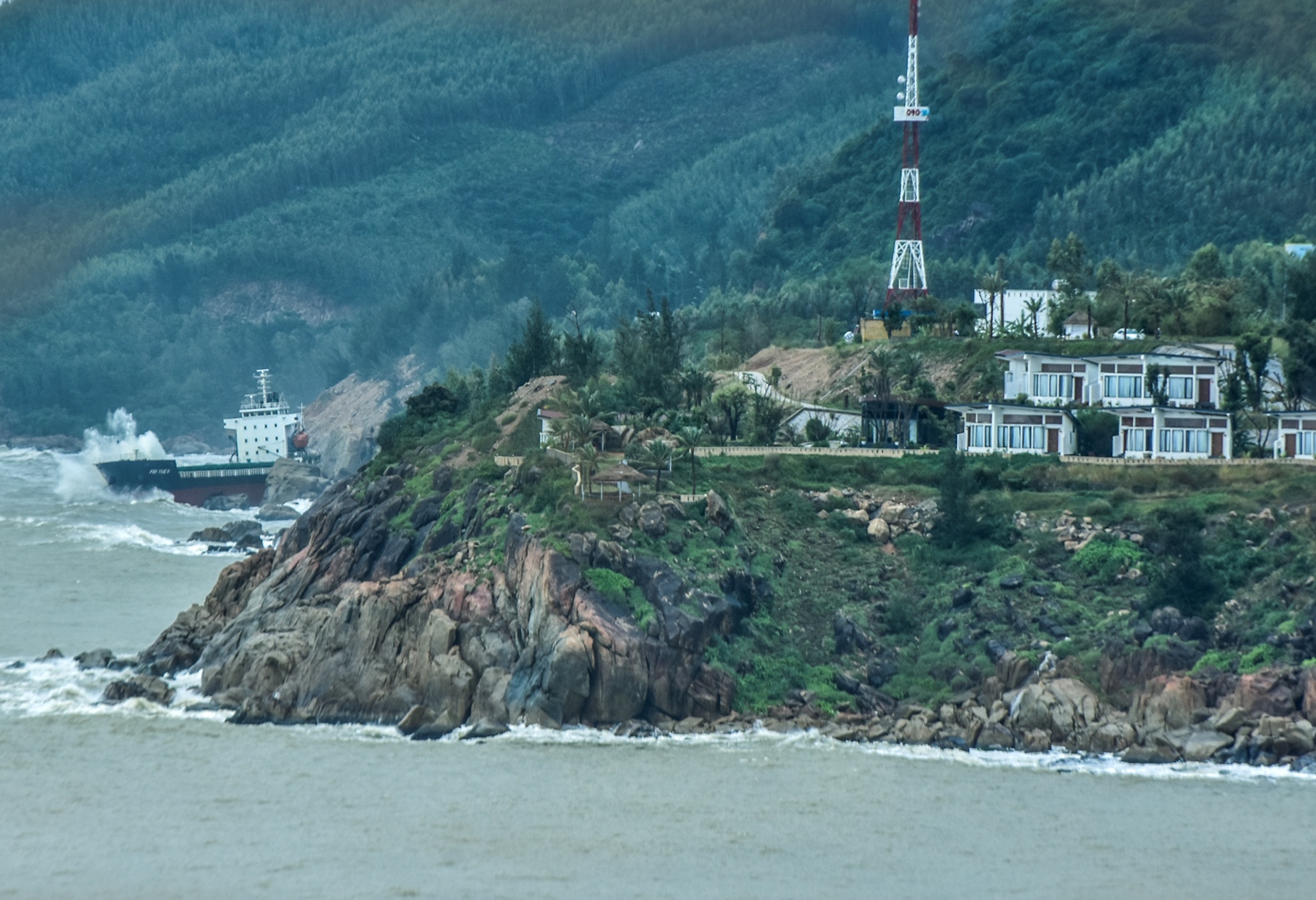 Tau cho hang chim o vung bien Quy Nhon anh 14