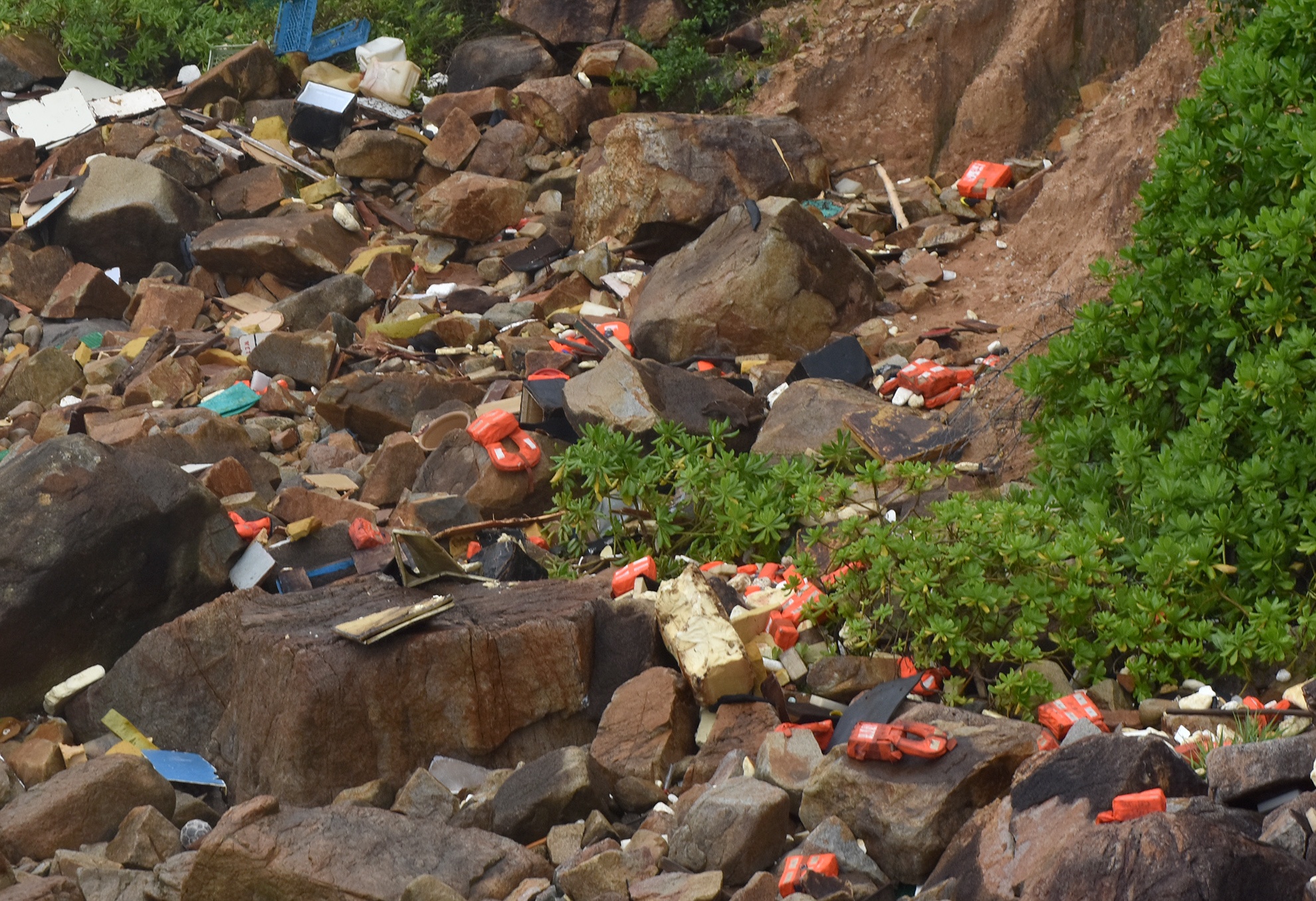 Tau cho hang chim o vung bien Quy Nhon anh 12