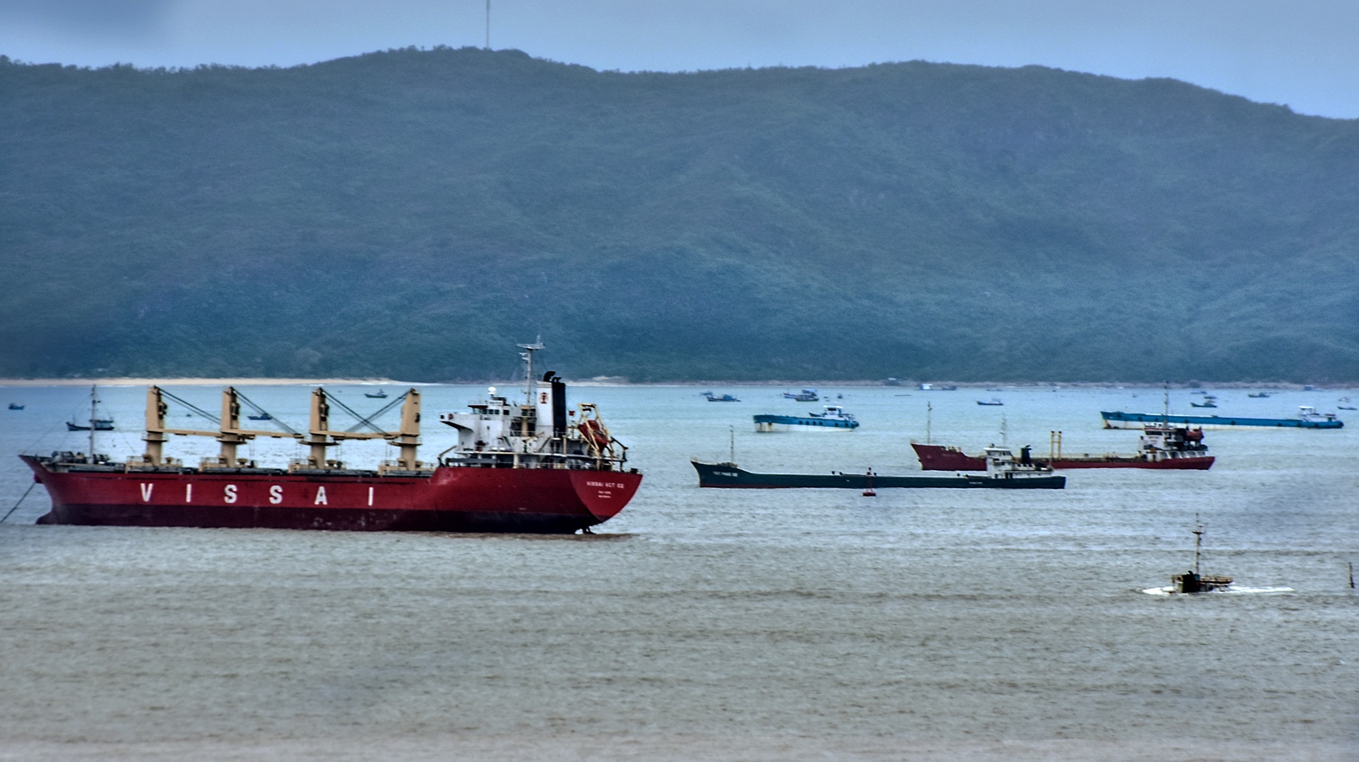 Tau cho hang chim o vung bien Quy Nhon anh 2