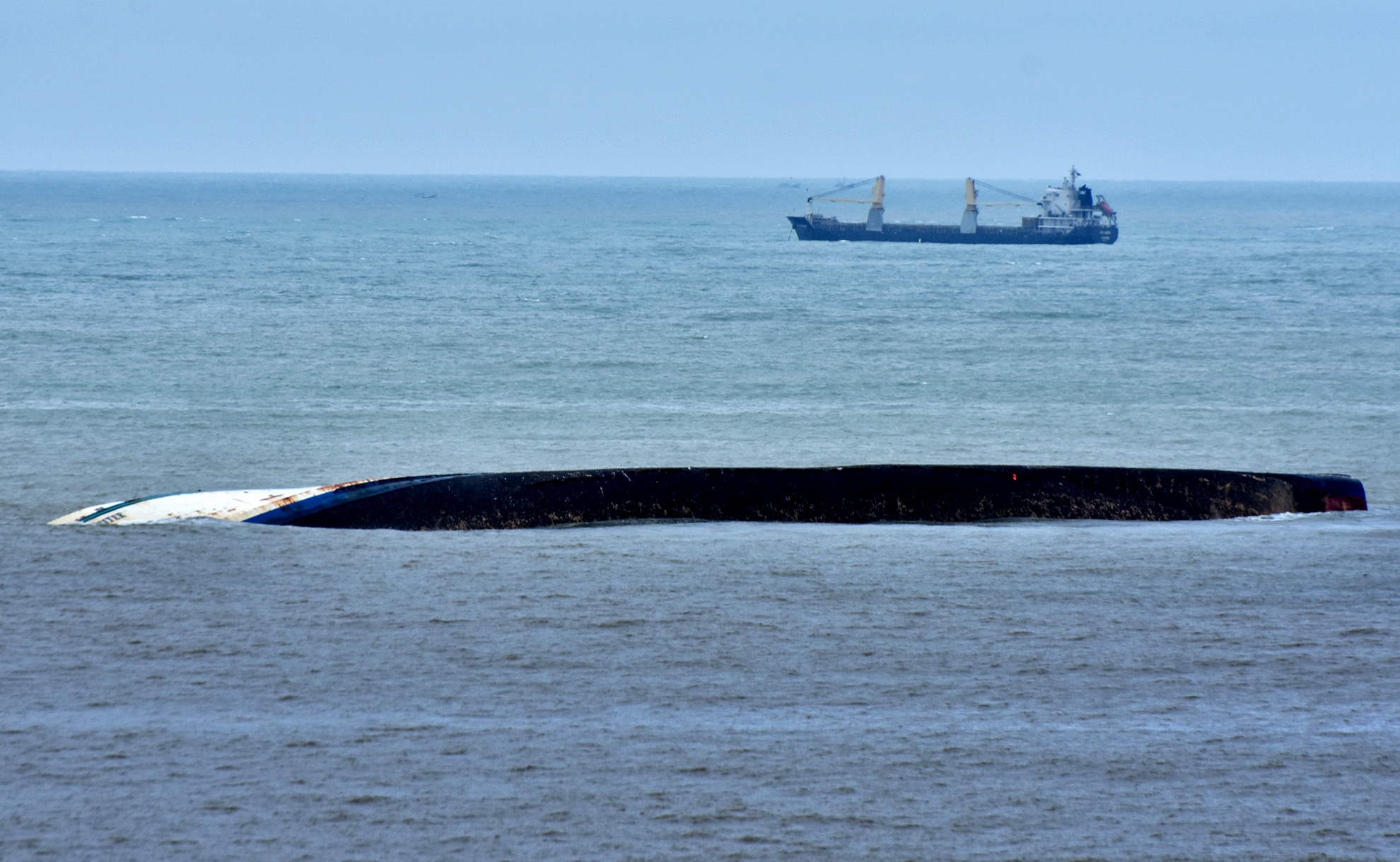 Tau cho hang chim o vung bien Quy Nhon anh 4