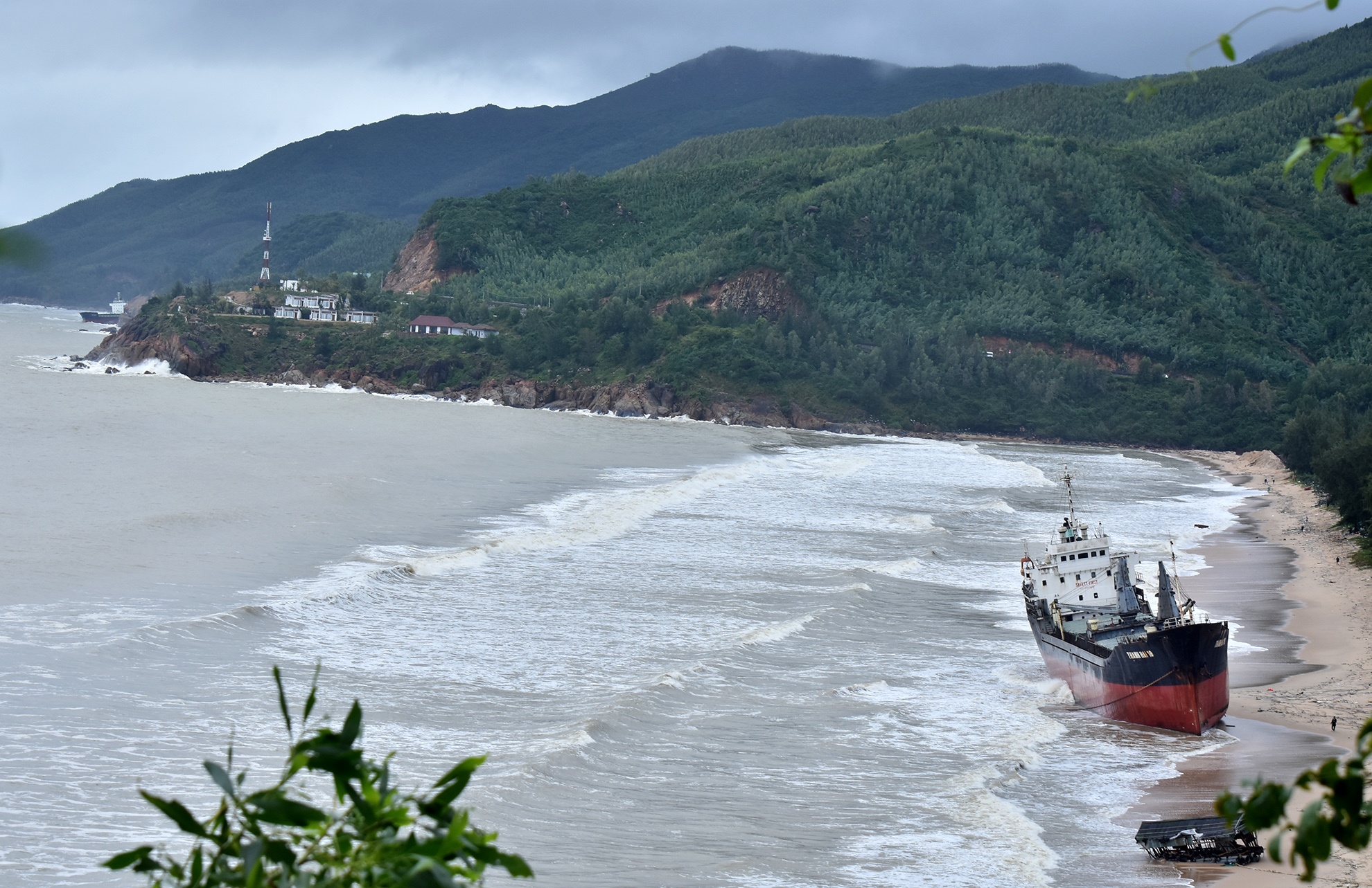 Tau cho hang chim o vung bien Quy Nhon anh 15