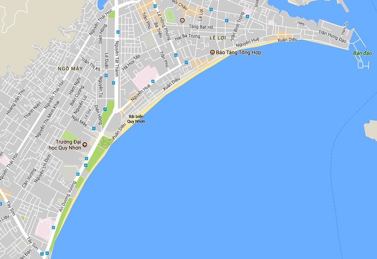 Bai bien Quy Nhon ngap rac thai sau bao so 12 anh 10