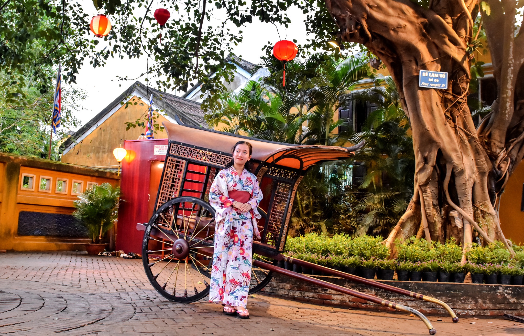 Khong gian Van hoa Viet Nam- Nhat Ban anh 7