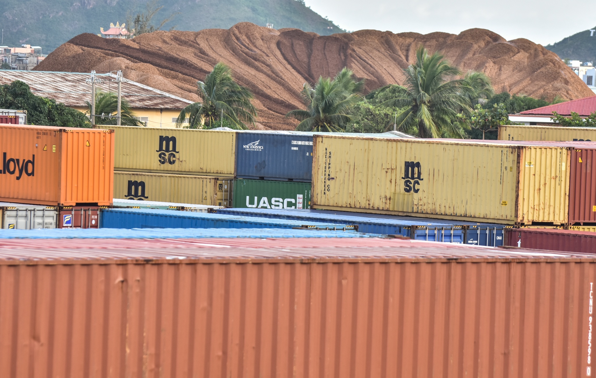 Nghia dia tau hang chim o Quy Nhon anh 11