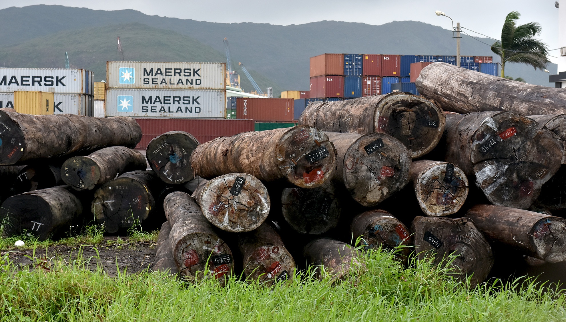 Nghia dia tau hang chim o Quy Nhon anh 10