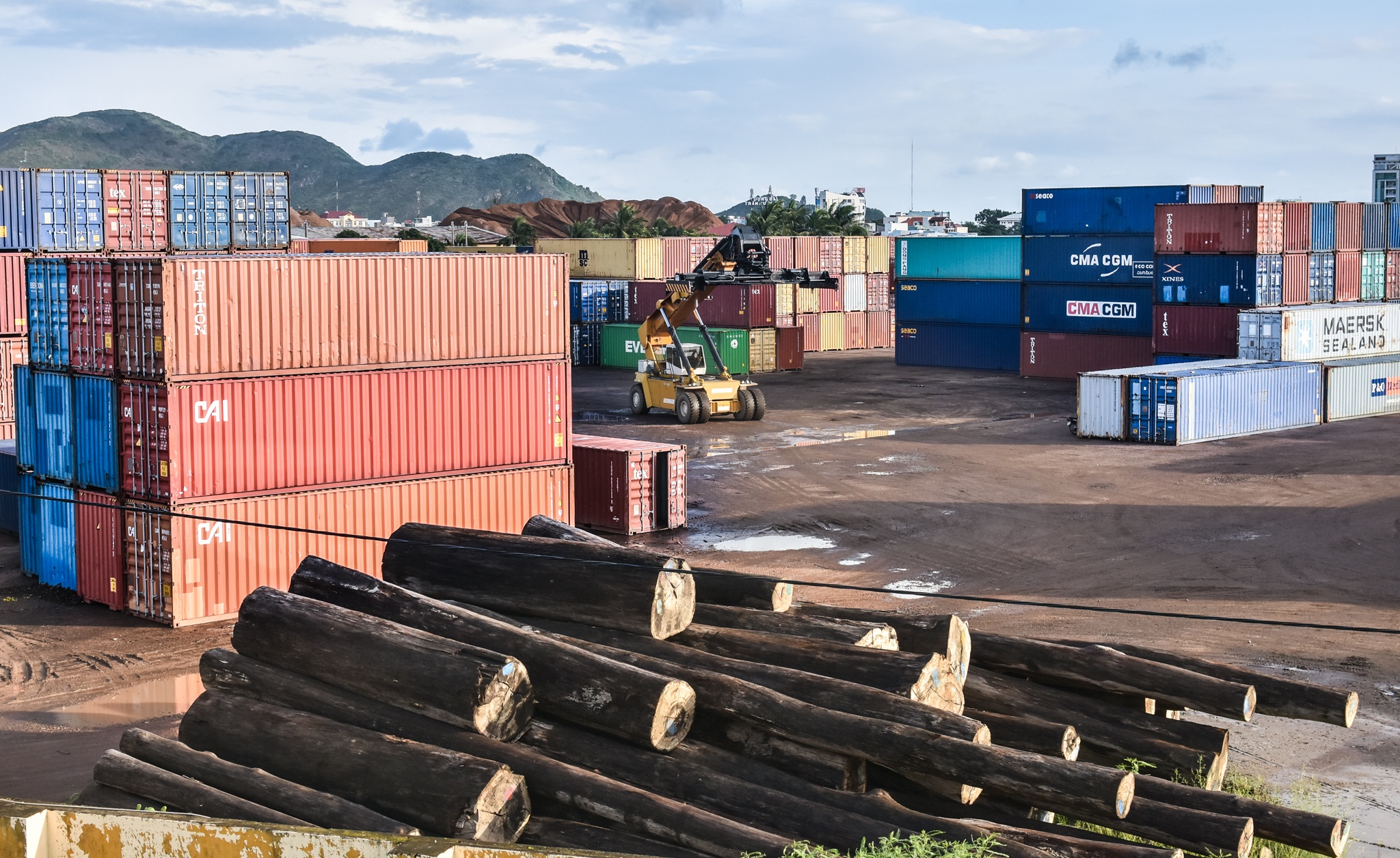 Nghia dia tau hang chim o Quy Nhon anh 9