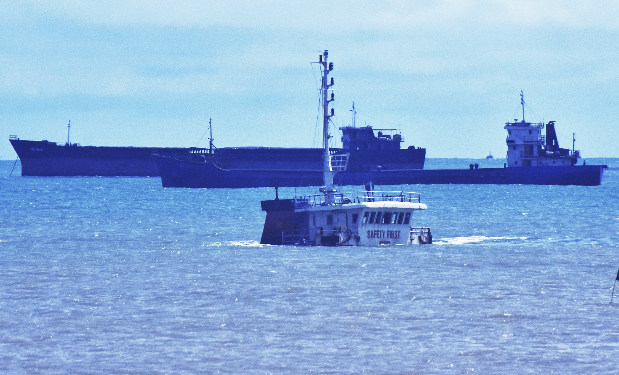 Nghia dia tau hang chim o vung bien Quy Nhon anh 3