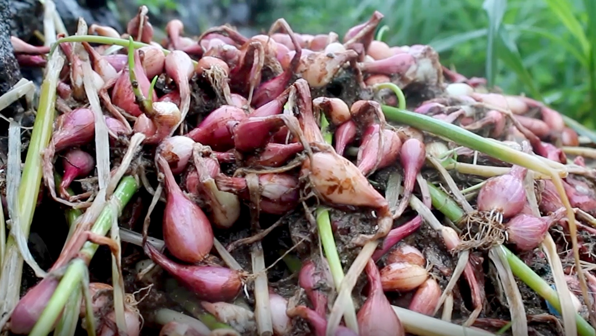 Mua lon keo dai, dan Quang Ngai trong hanh tim thiet hai tien ty hinh anh