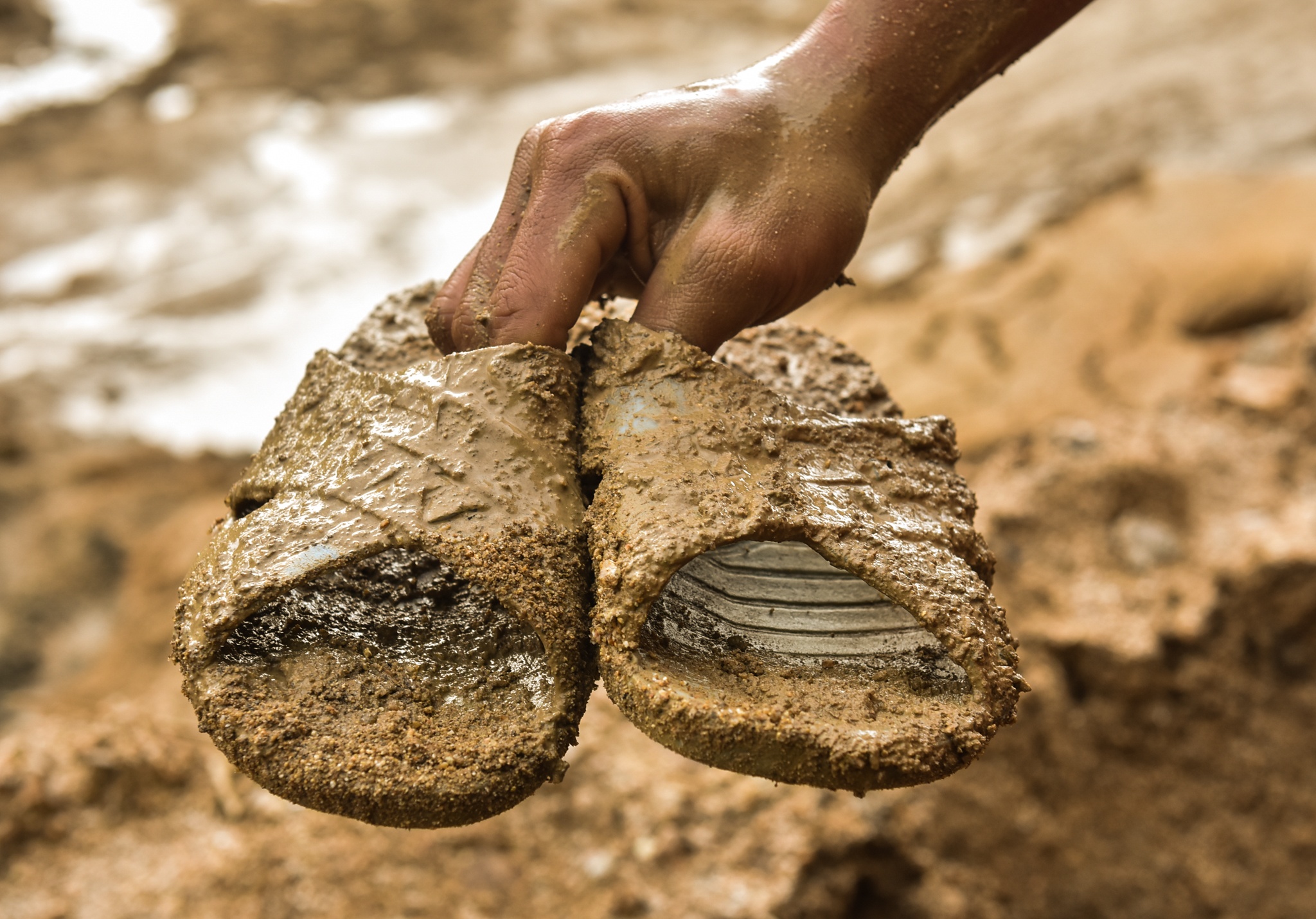Hang loat 'ho tu than' o vung cao Quang Ngai anh 9