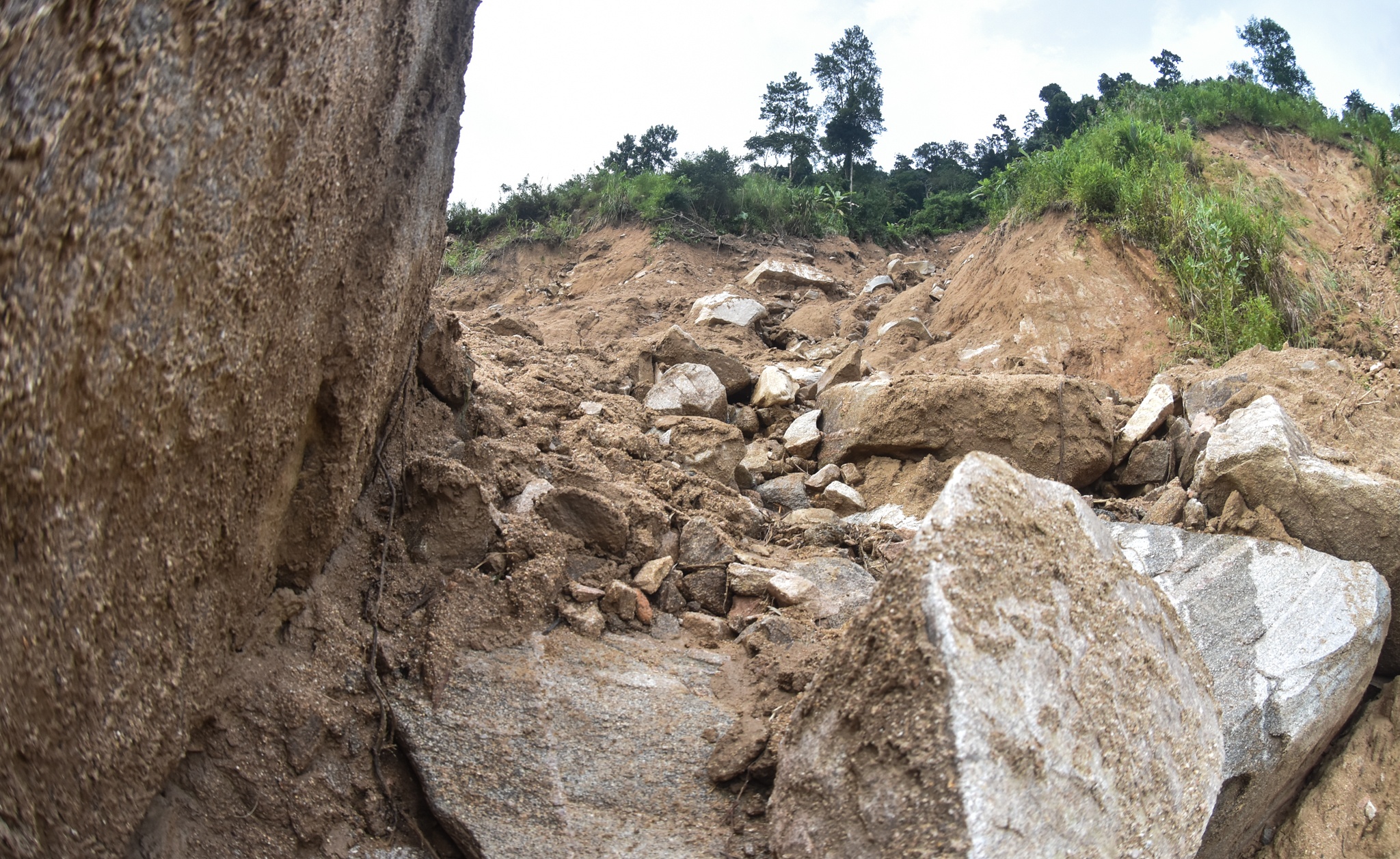 Hang loat 'ho tu than' o vung cao Quang Ngai anh 11