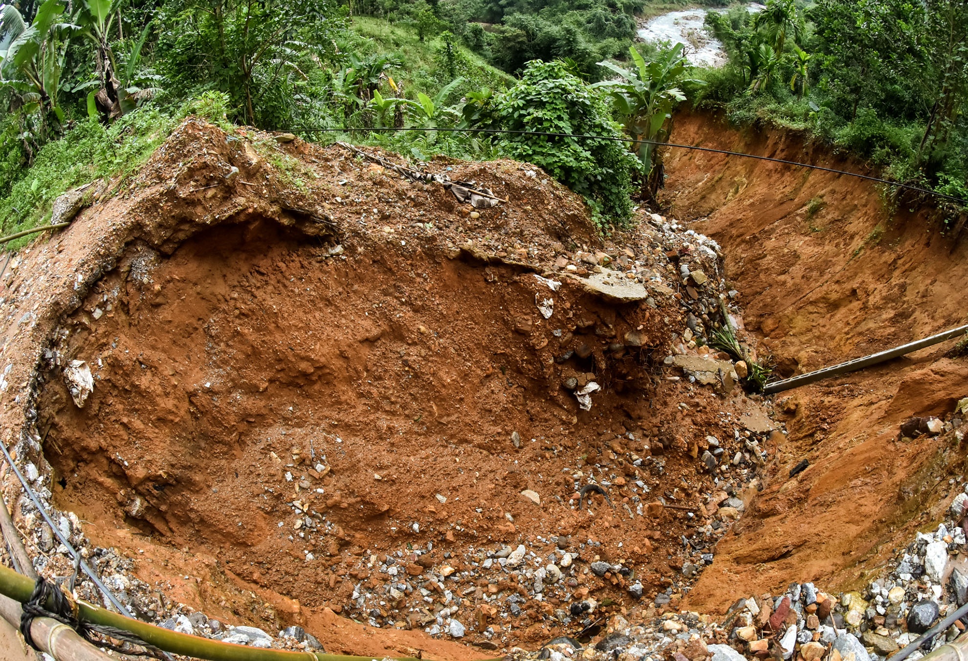 Hang loat 'ho tu than' o vung cao Quang Ngai anh 2