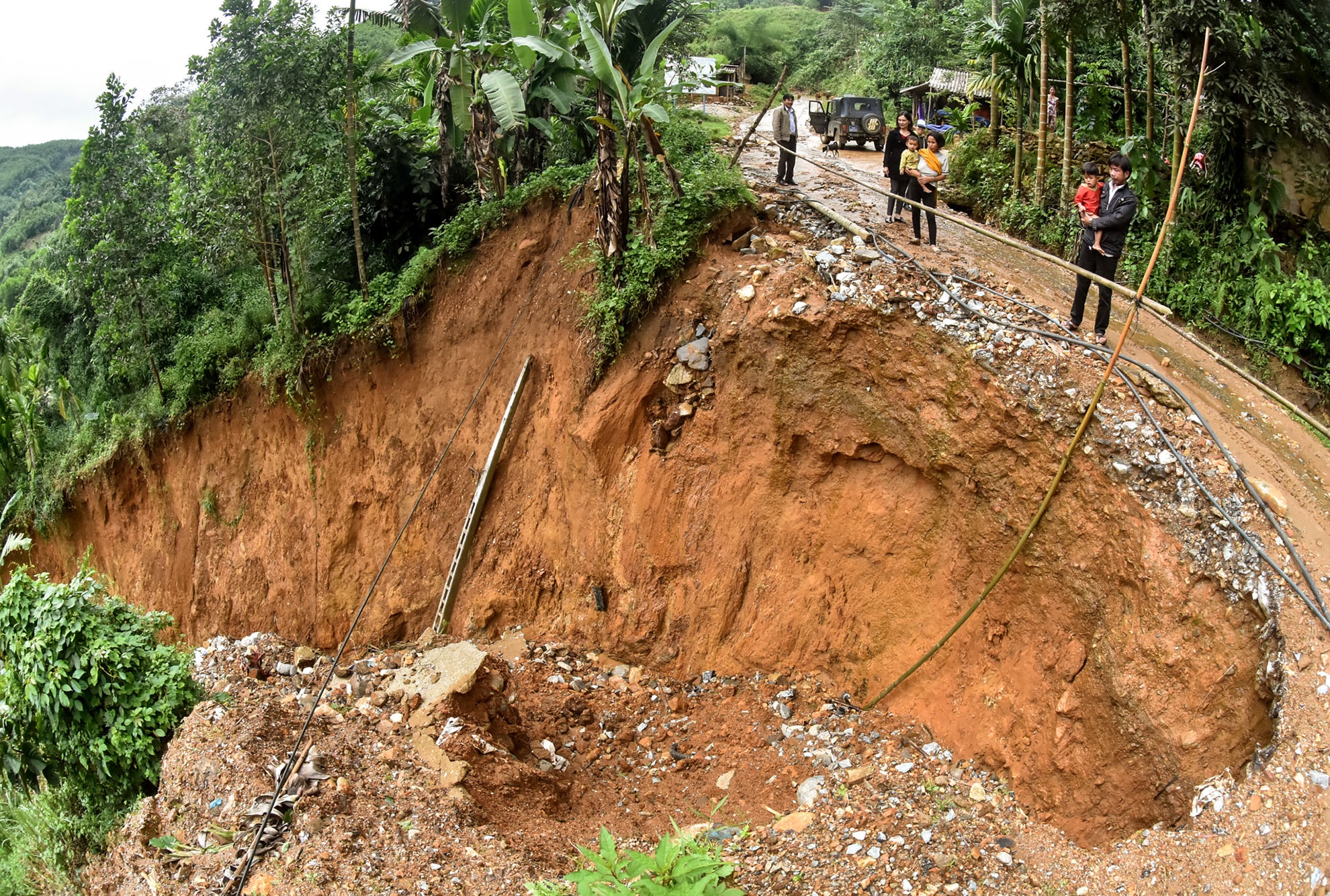Hang loat 'ho tu than' xuat hien sau mua lon hinh anh