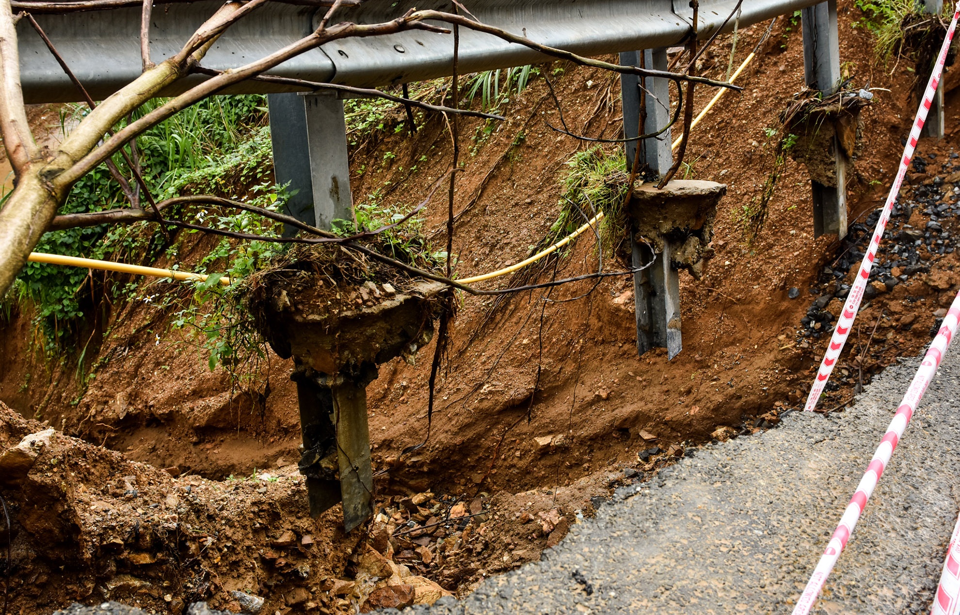 Hang loat 'ho tu than' o vung cao Quang Ngai anh 5