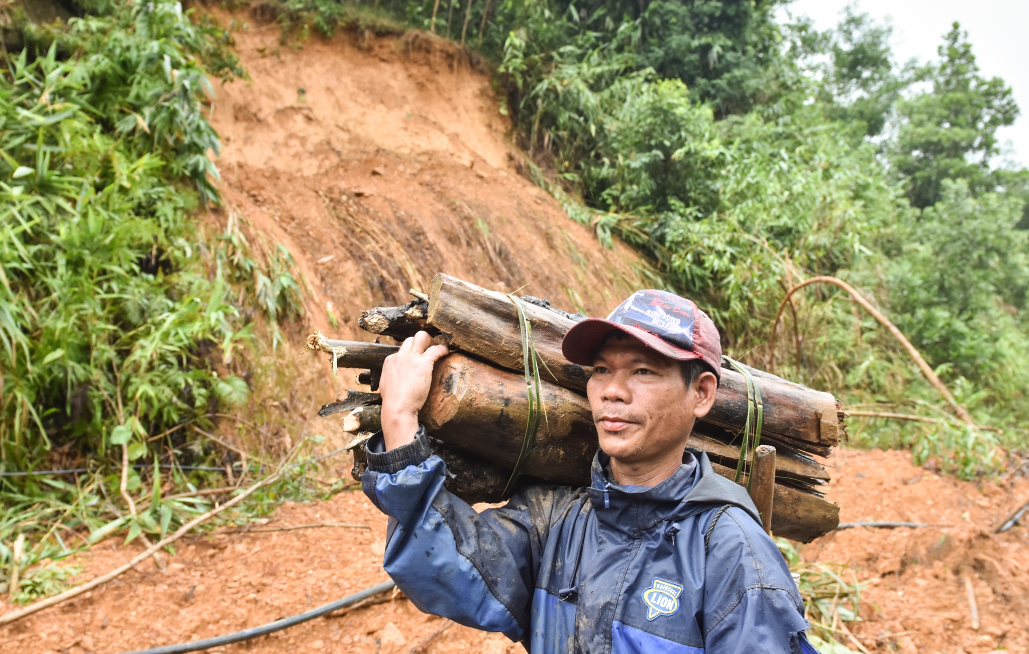 Hang loat 'ho tu than' o vung cao Quang Ngai anh 7