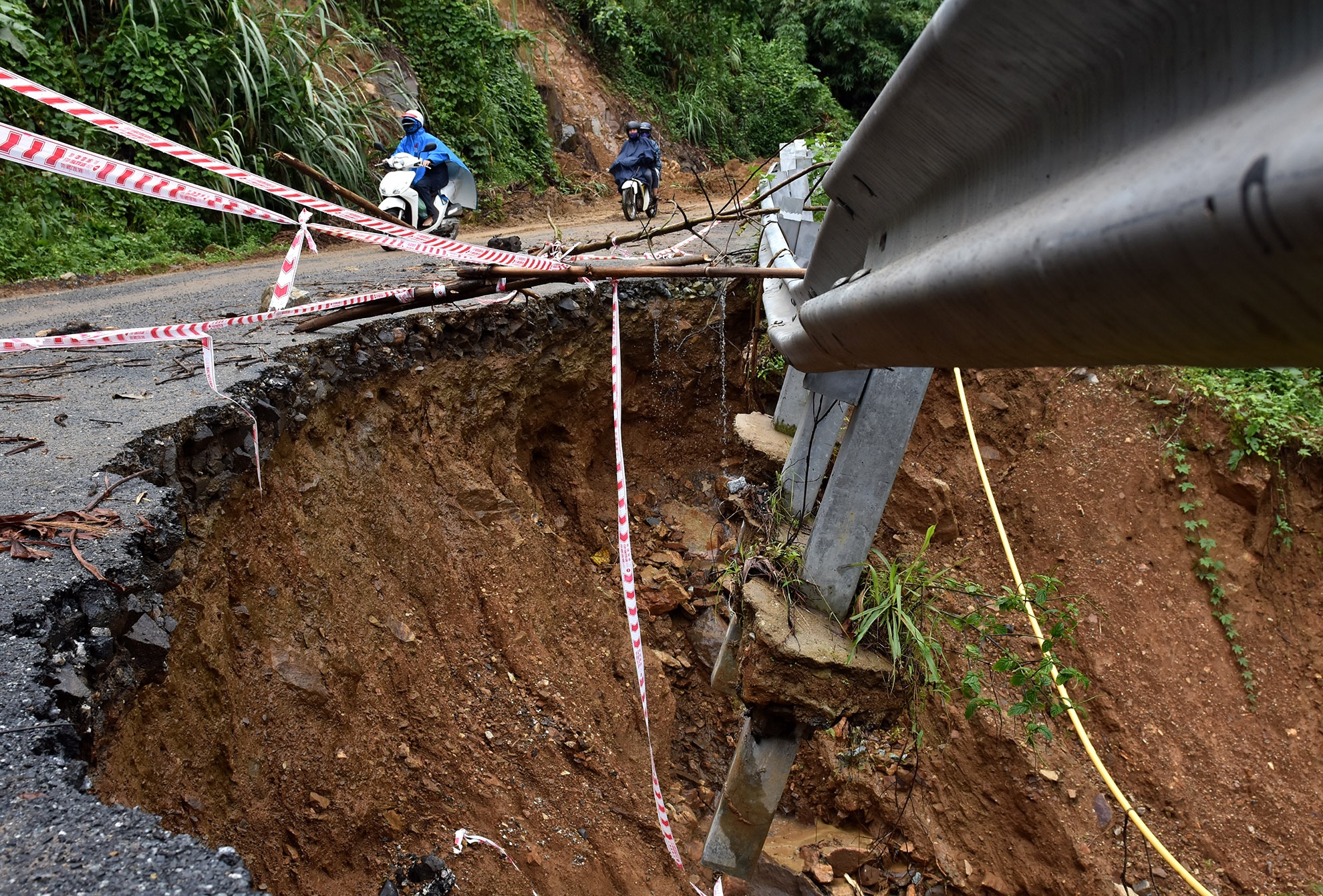 Hang loat 'ho tu than' o vung cao Quang Ngai anh 4