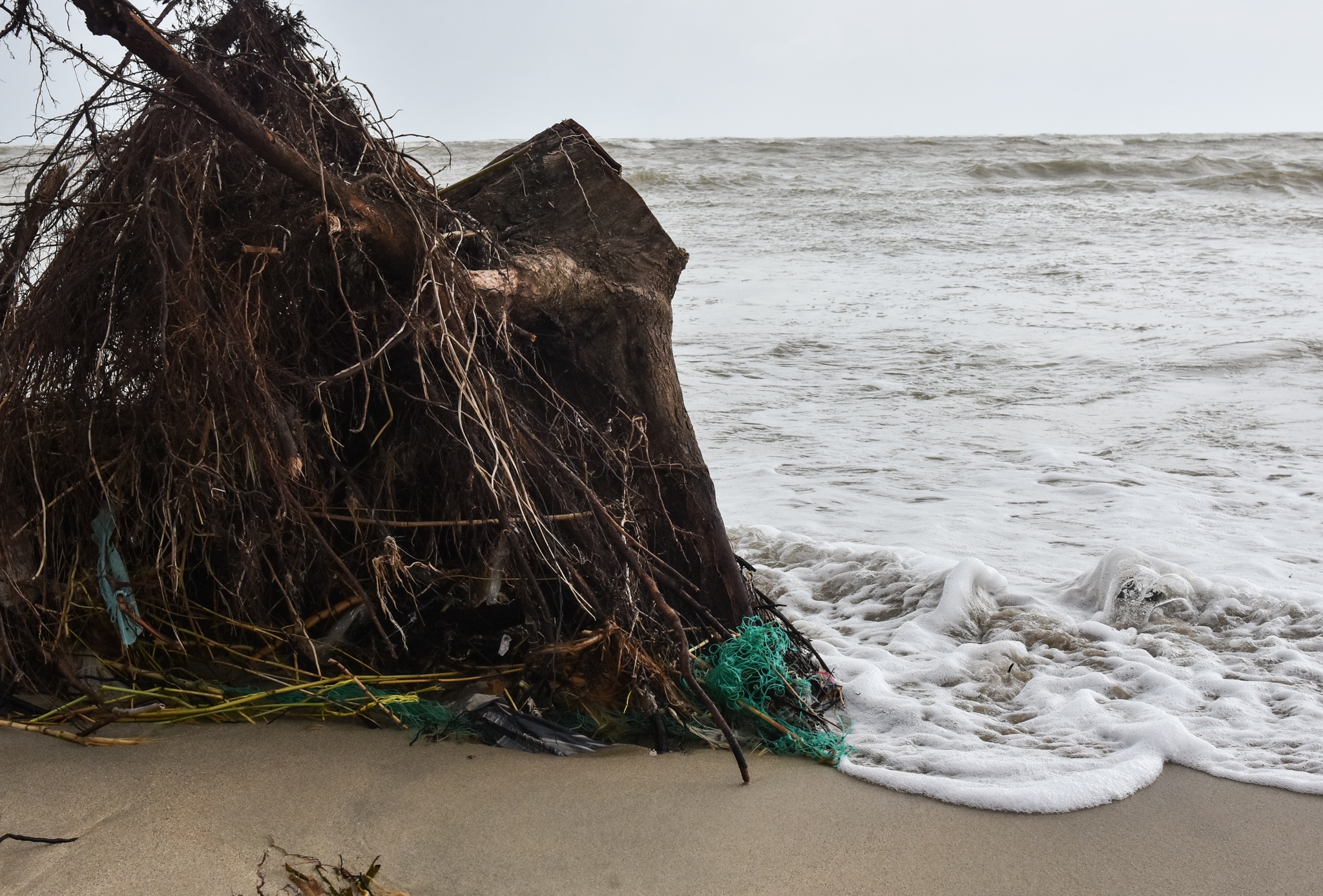 Trieu cuong nuot nha dan Quang Ngai anh 12