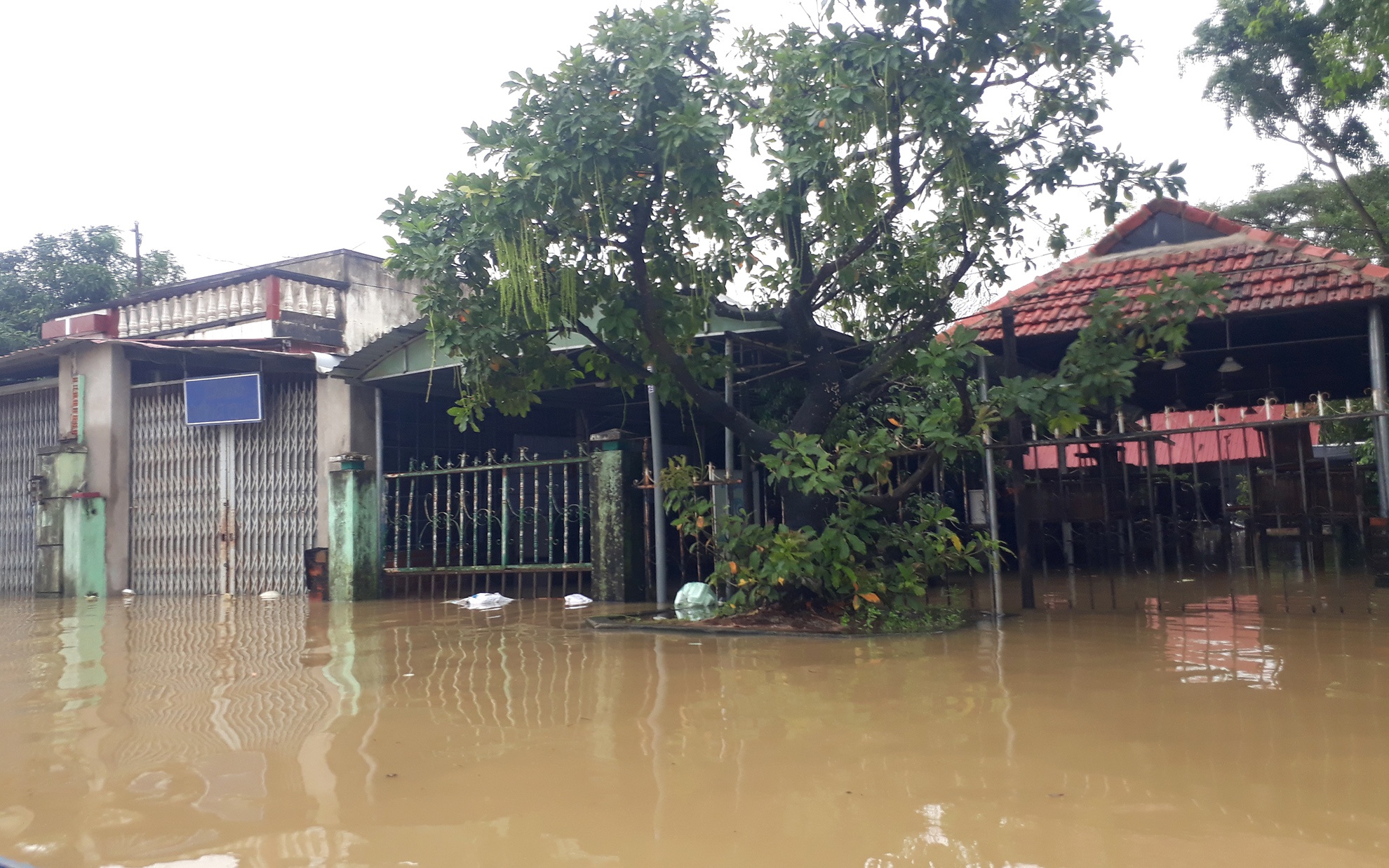 Mua lu Binh Dinh anh 6