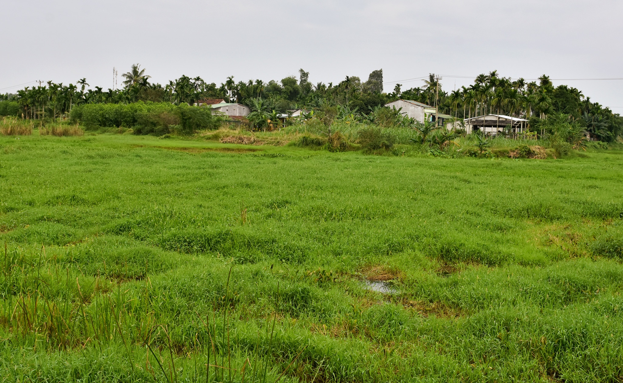 O at lam cac khu do thi o Quang Ngai anh 11