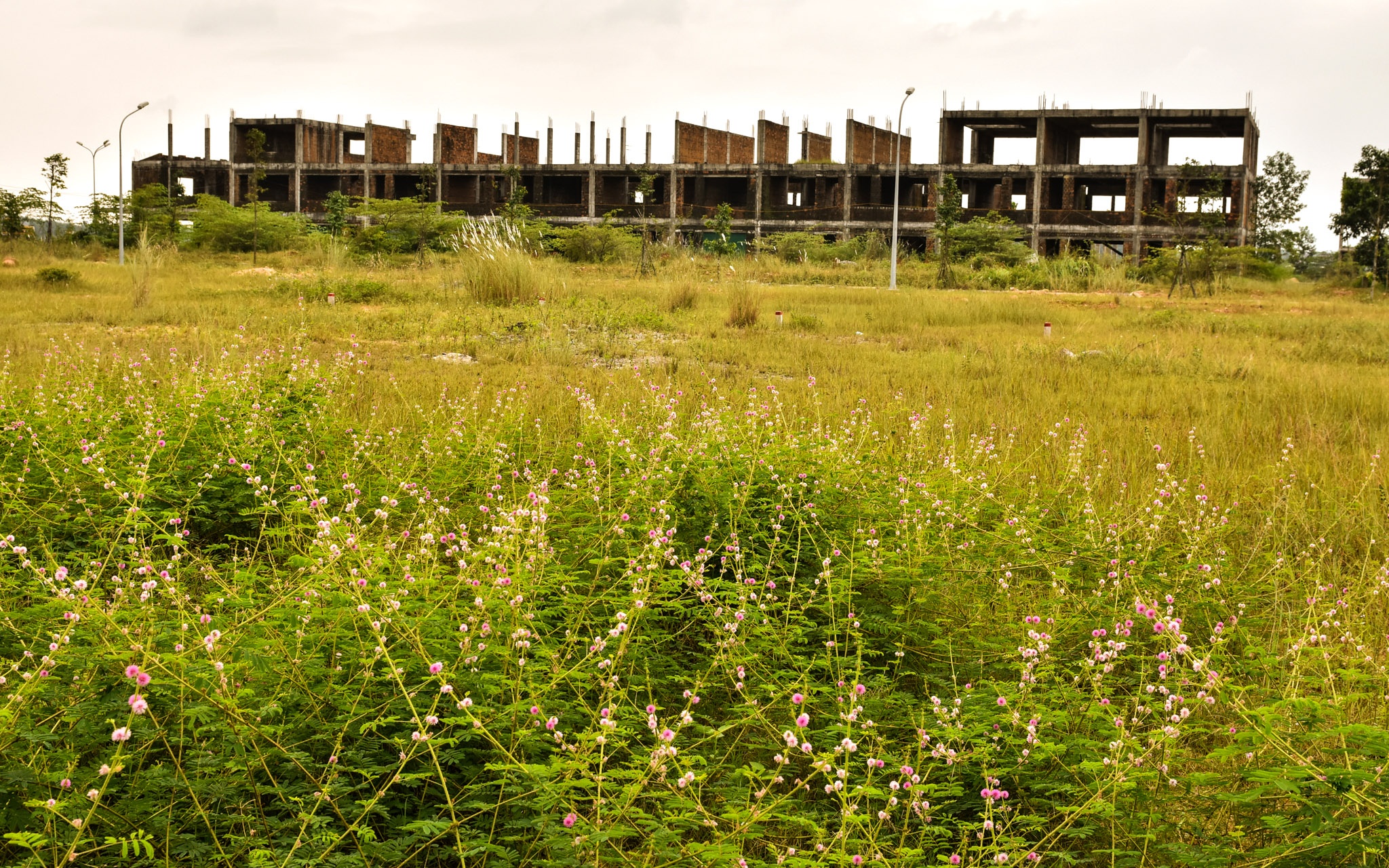 O at lam cac khu do thi o Quang Ngai anh 2