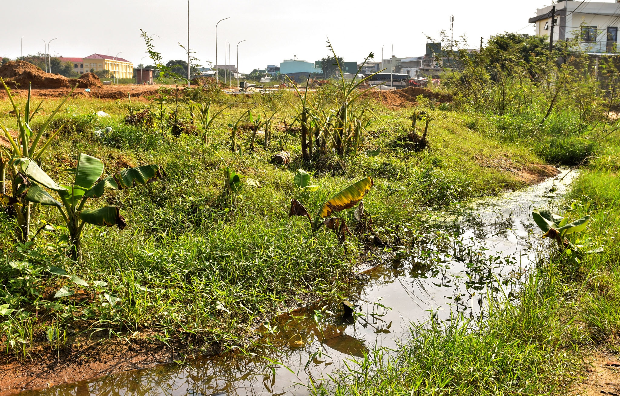 O at lam cac khu do thi o Quang Ngai anh 8