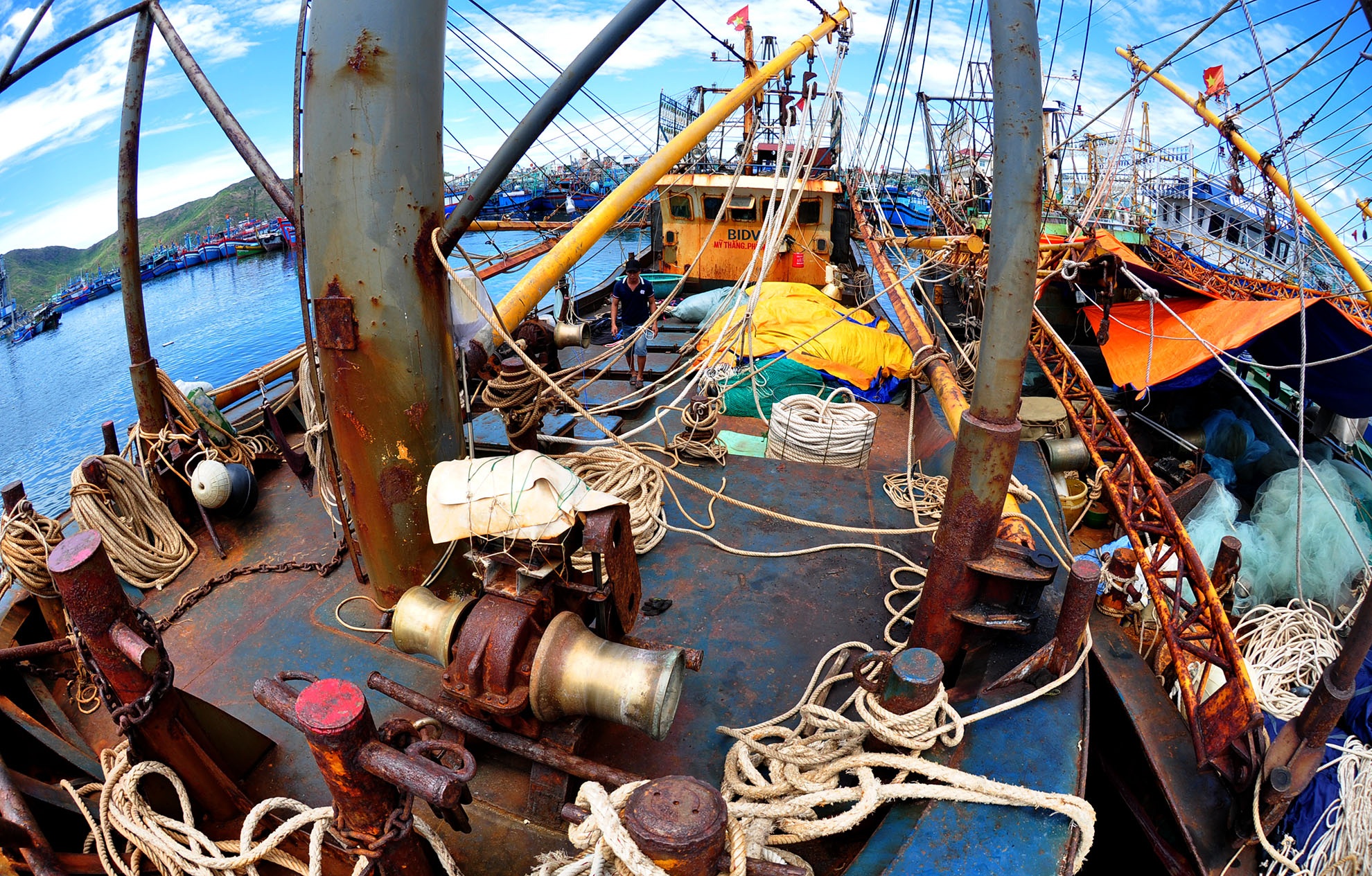 Ngu dan Binh Dinh yeu cau boi thuong 45,6 ty dong vu tau thep nam bo hinh anh