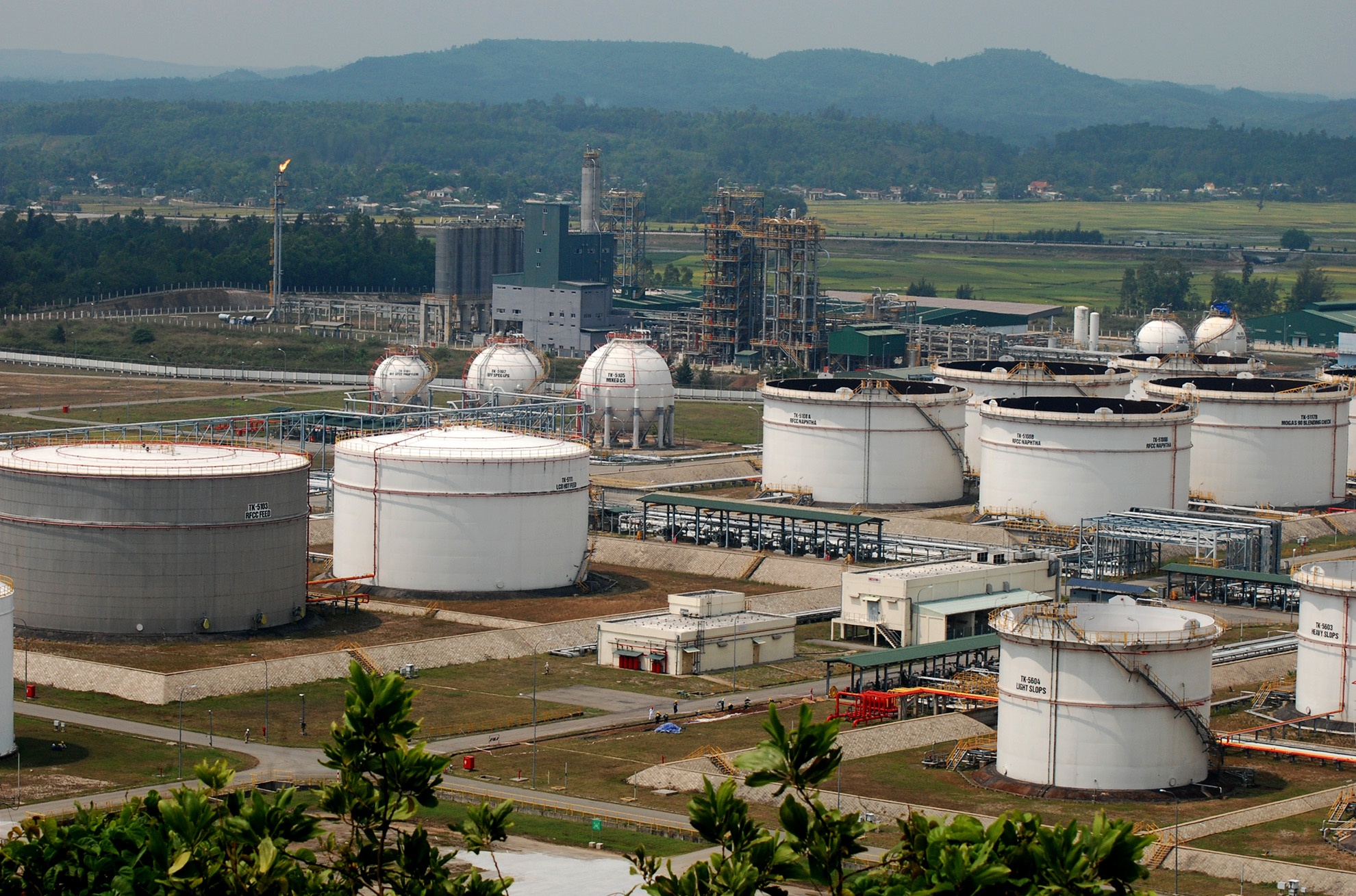 CEO Loc hoa dau Binh Son: 'IPO se dem ve 4.000 ty dong' hinh anh