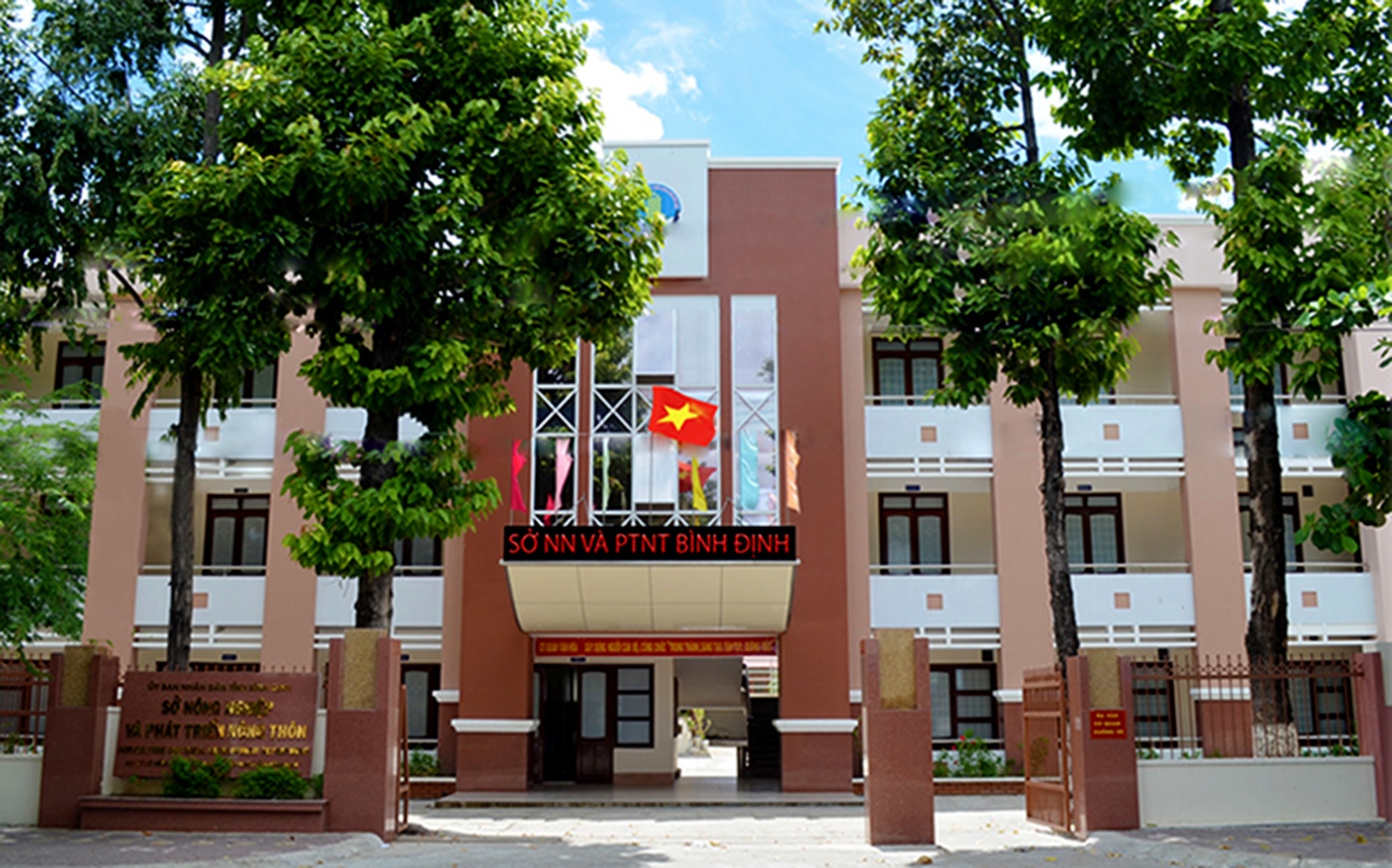 Binh Dinh chan chinh tinh trang can bo lanh dao thieu chuan hinh anh