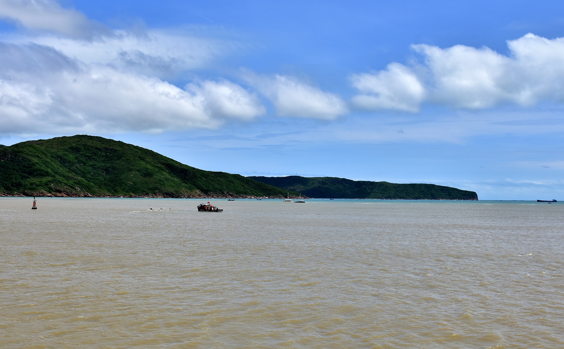 Tau ca gap nan o bien Quy Nhon do dam phai sa lan chim? hinh anh