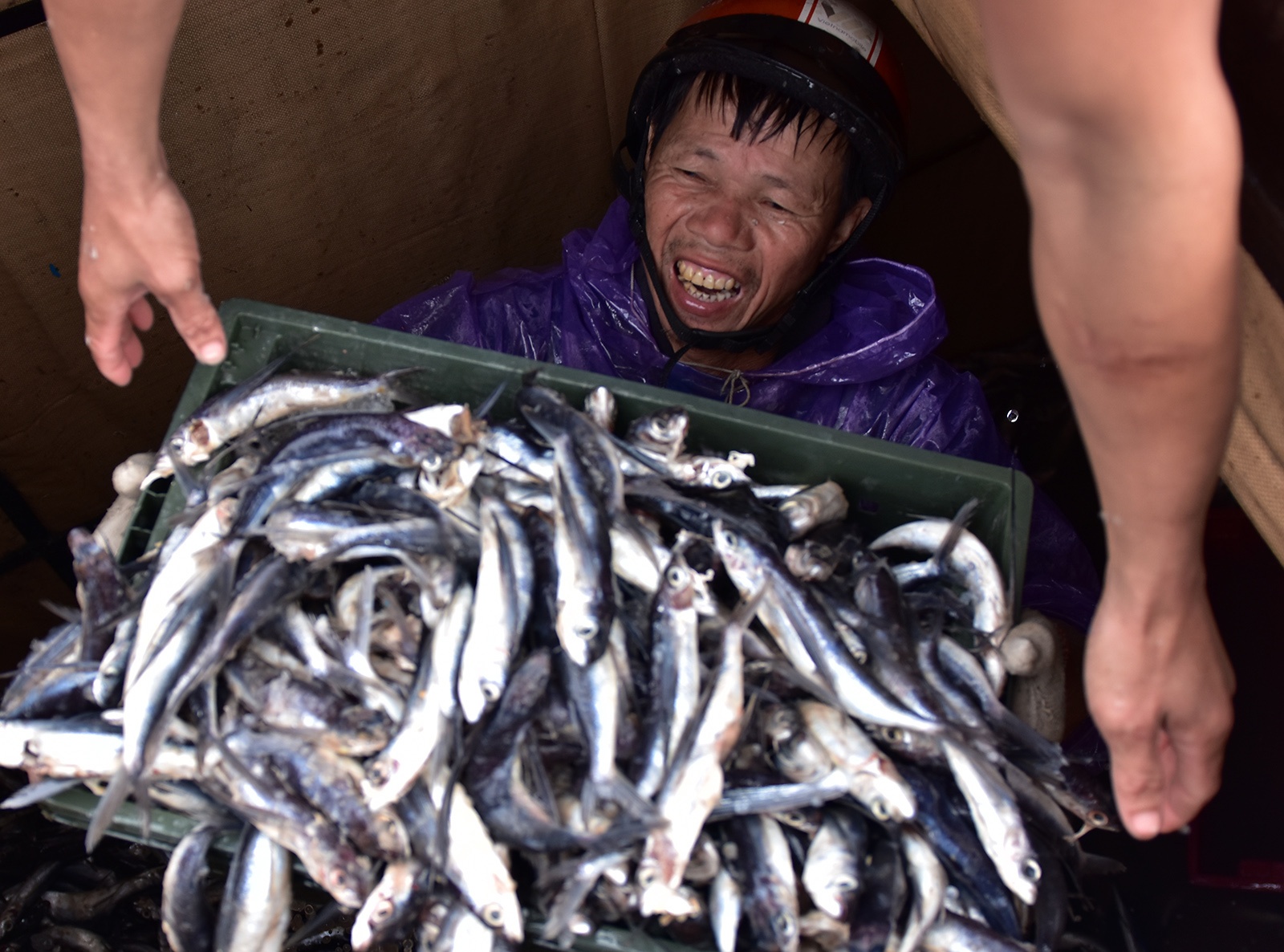 Ngu dan Quang Ngai trung dam chuyen bien cuoi nam hinh anh