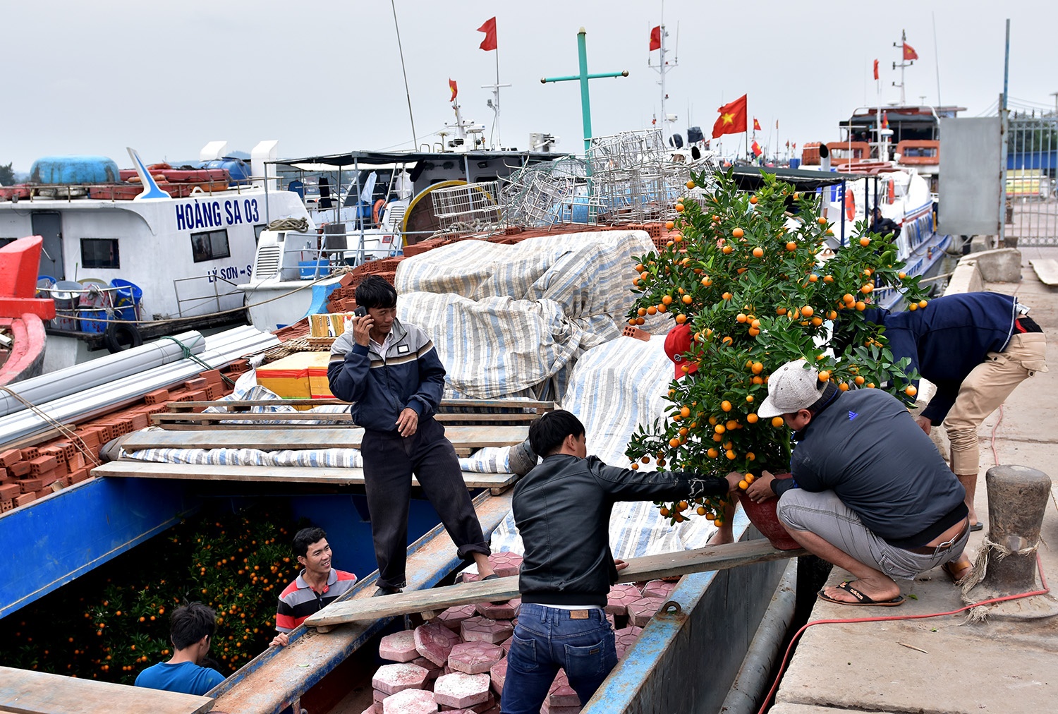 Dua hang hoa Tet ra dao Ly Son hinh anh