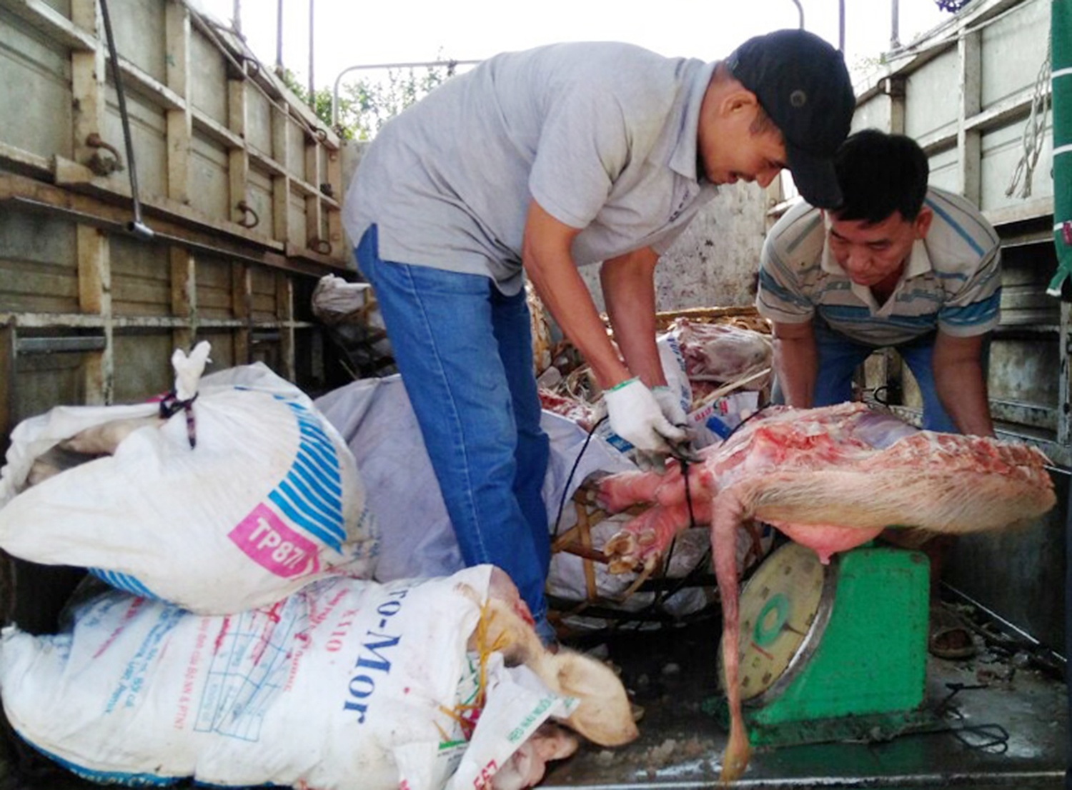 Gan 8 ta thit heo ban tung ra thi truong Tet hinh anh