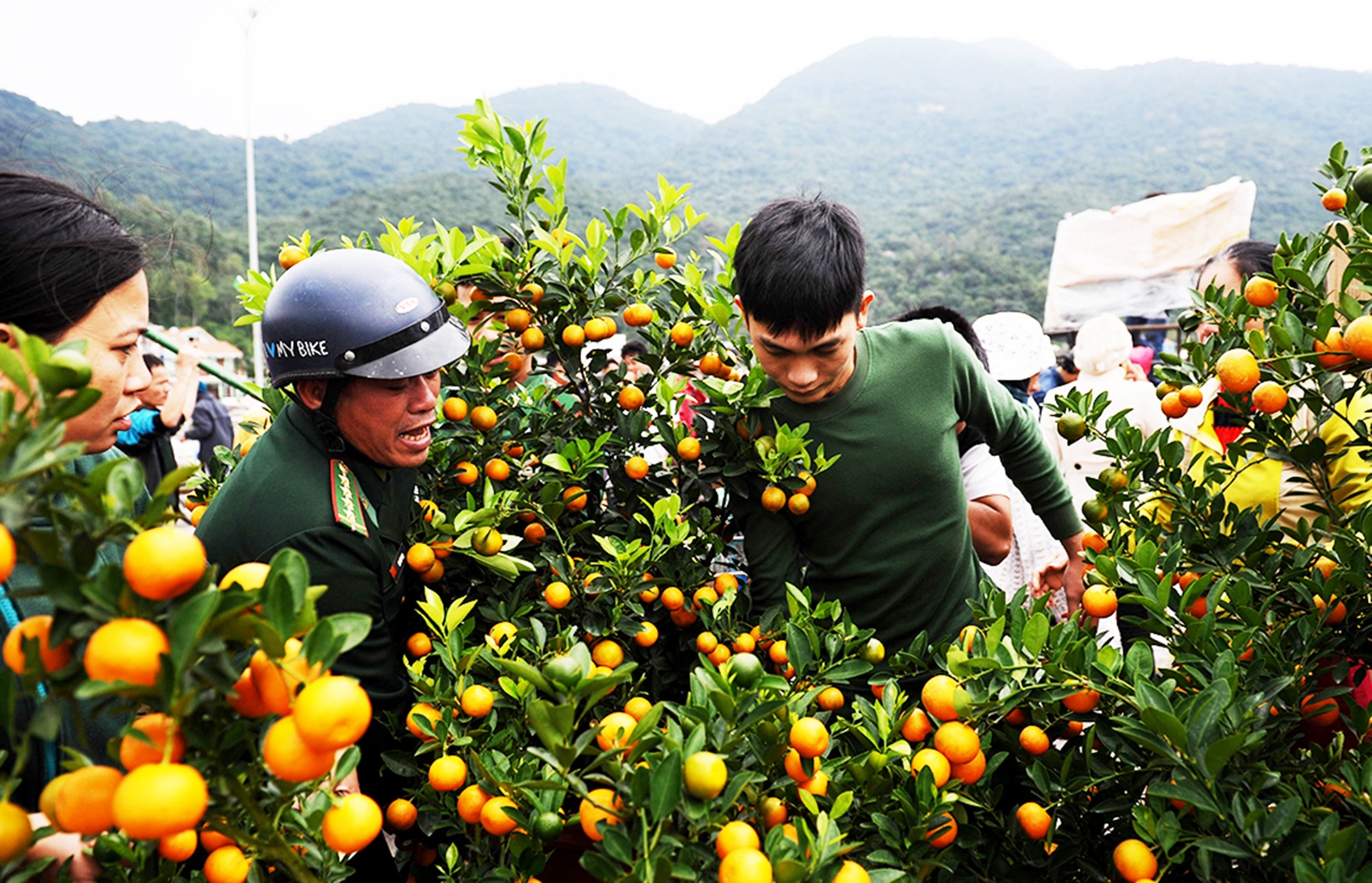 Tet tren dao Cu Lao Cham anh 5