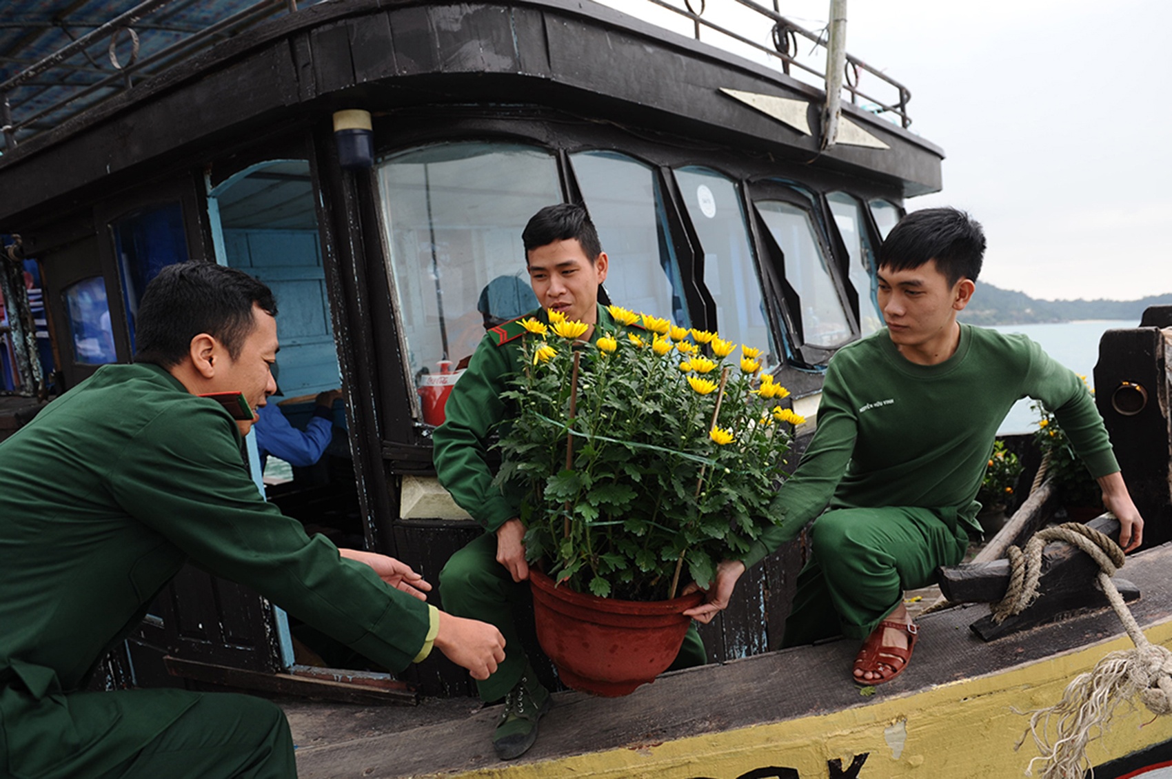 Tau cho 'mua xuan' ra dao Cu Lao Cham hinh anh