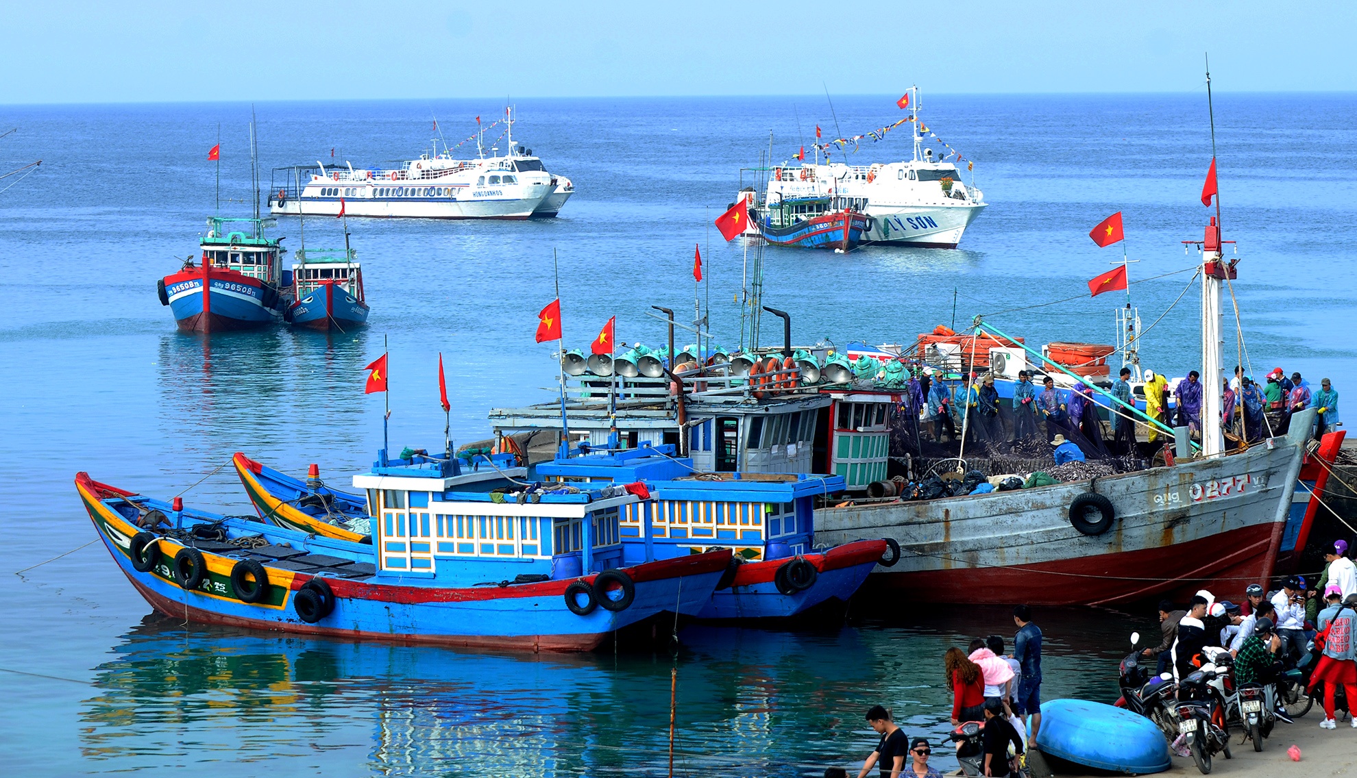 Trung dam loc bien dau nam anh 1