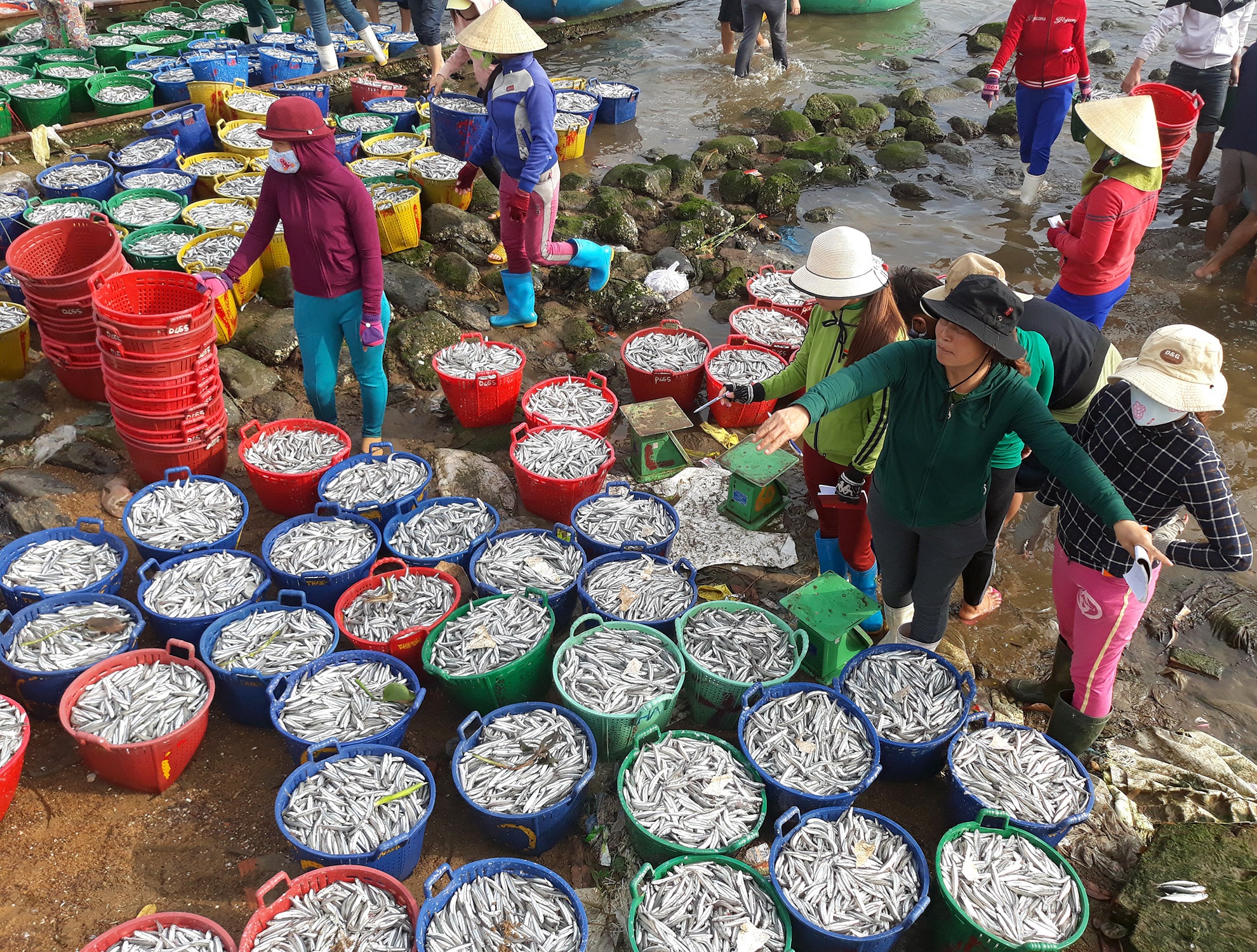 Trung dam loc bien dau nam anh 4
